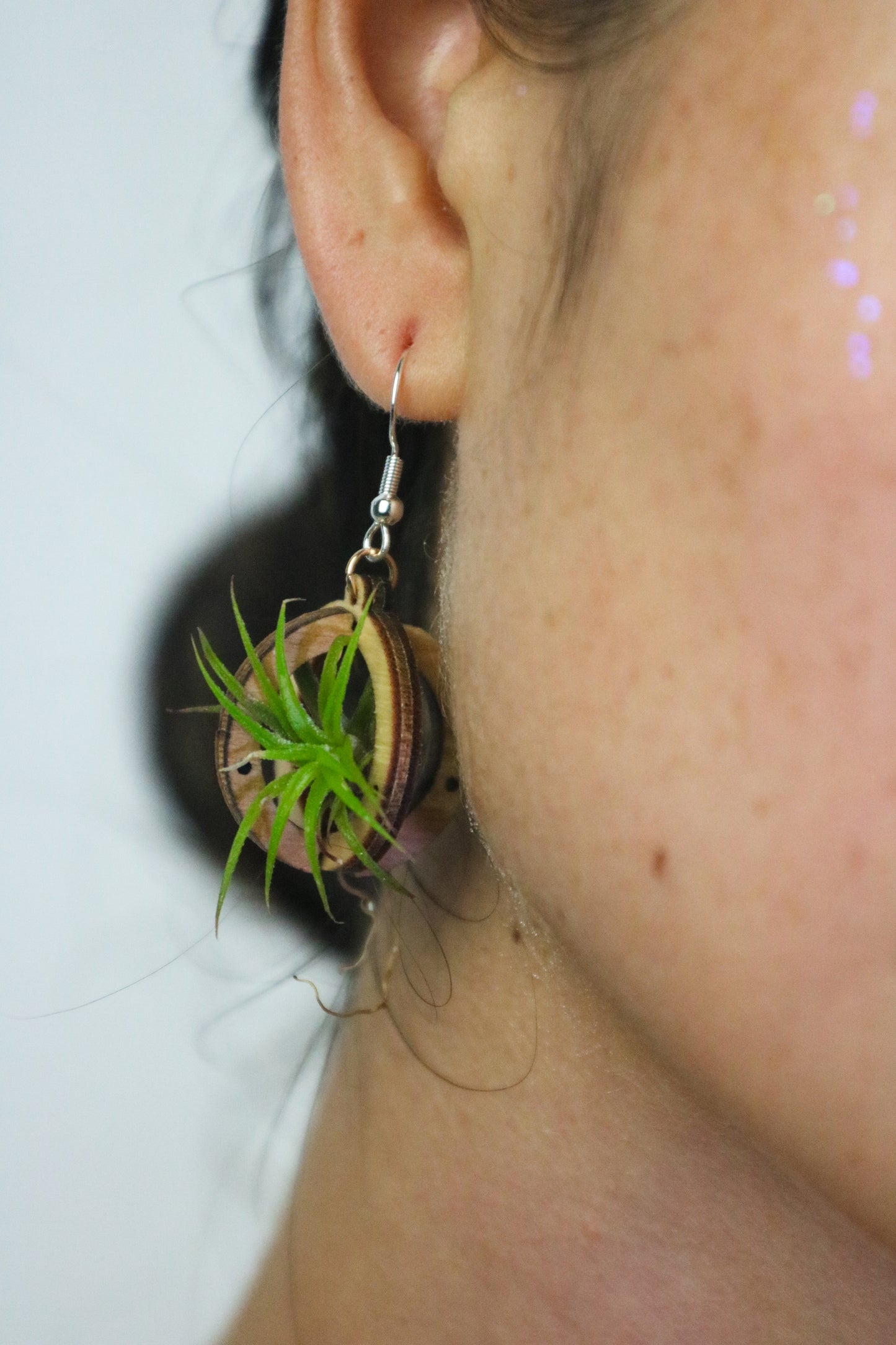 Lasercut Wooden Air Plant Orb Earrings ~ Japanese Tsugite Technique