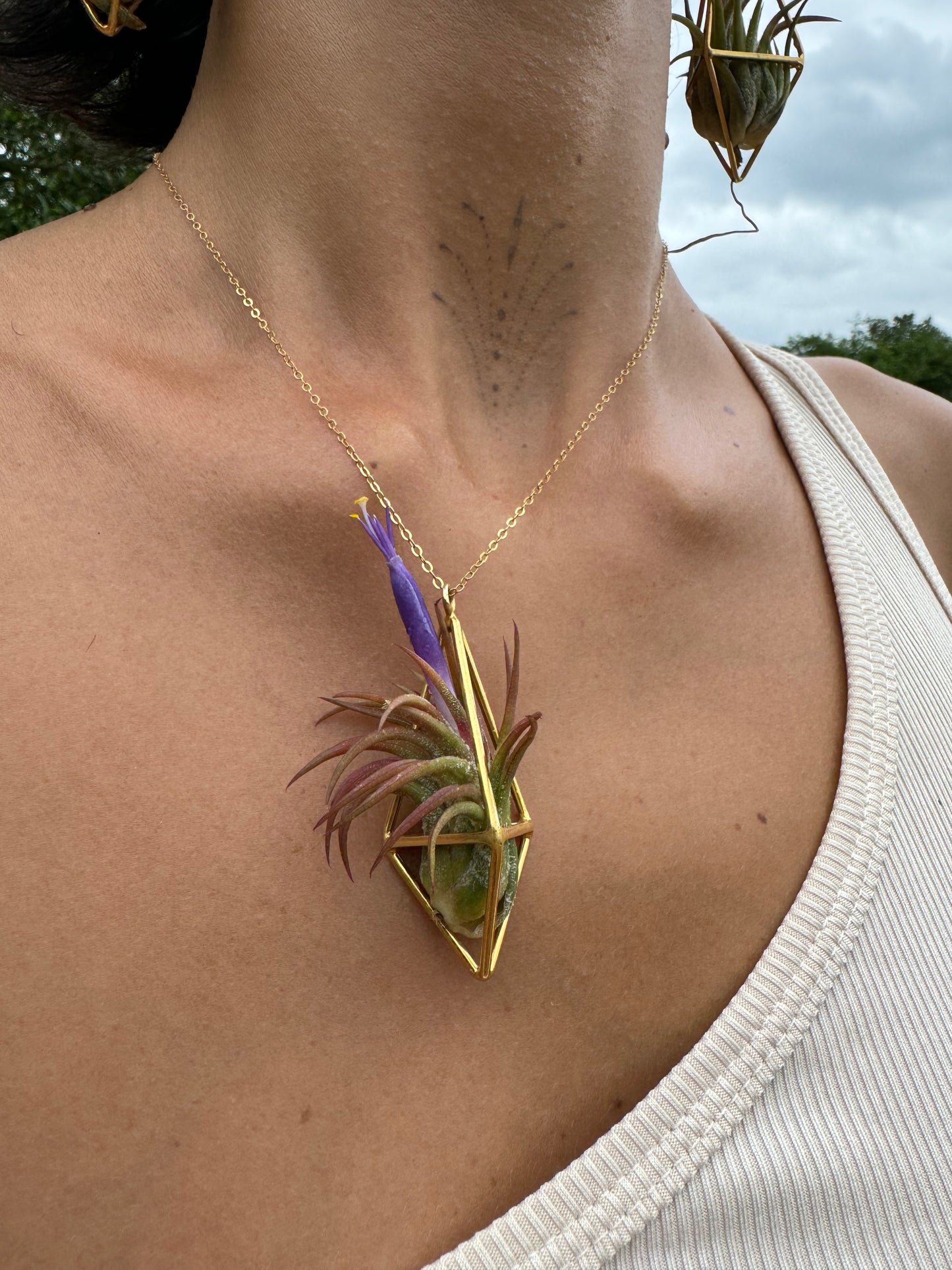 Luxury Air Plant Tetrahedron Pendant - 24K Gold / Solid Sterling Silver