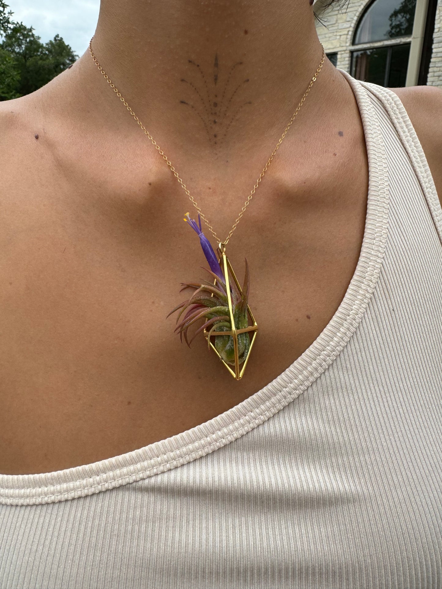 Luxury Air Plant Tetrahedron Pendant - 24K Gold / Solid Sterling Silver