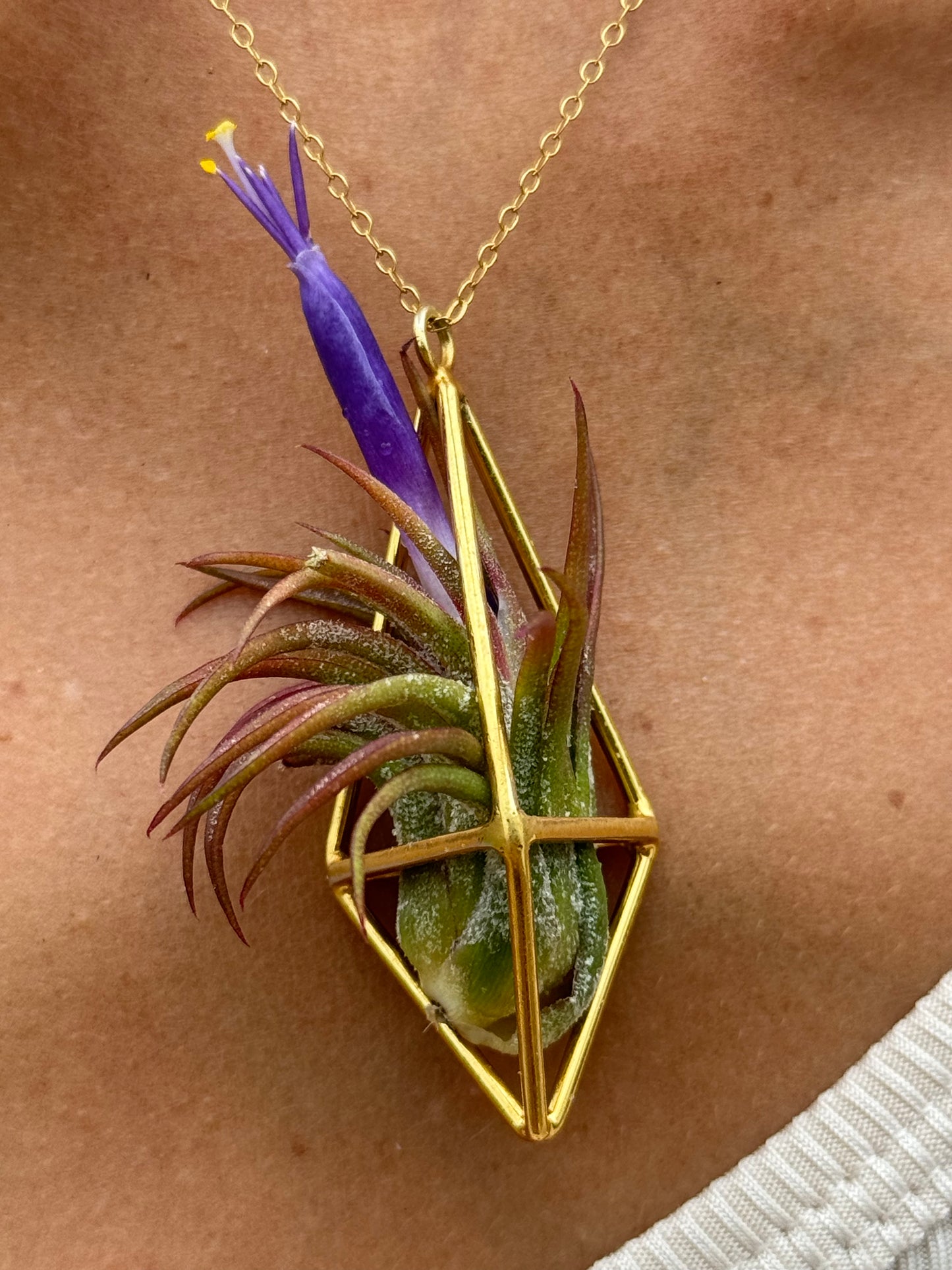 Luxury Air Plant Tetrahedron Pendant - 24K Gold / Solid Sterling Silver