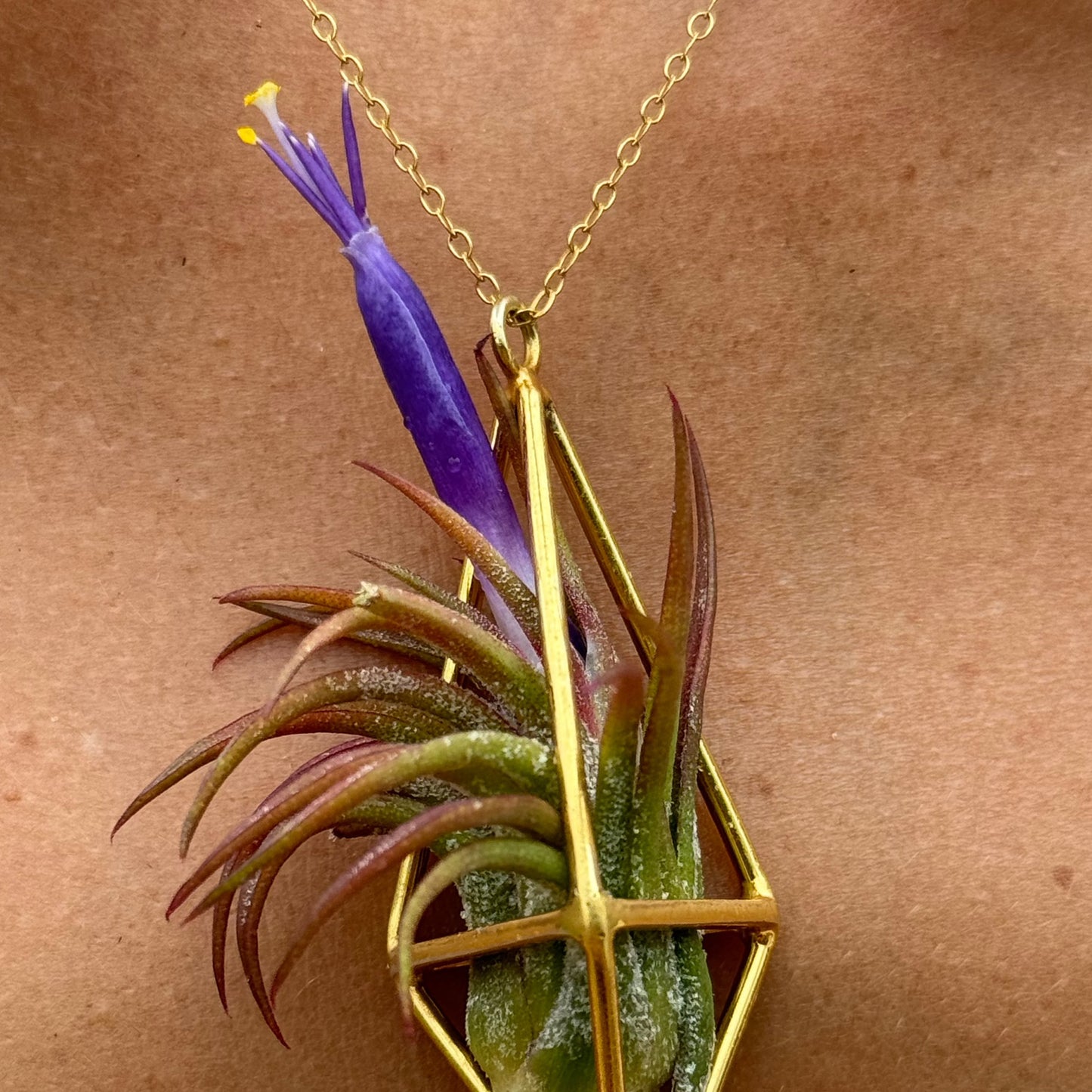 Luxury Air Plant Tetrahedron Pendant - 24K Gold / Solid Sterling Silver