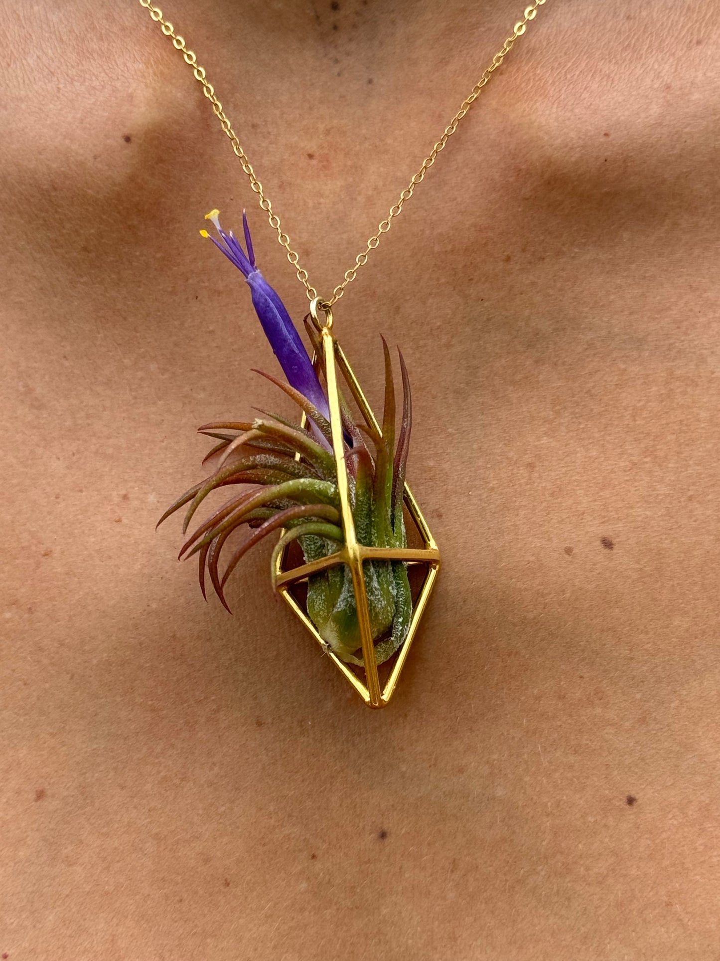 Luxury Air Plant Tetrahedron Pendant - 24K Gold / Solid Sterling Silver
