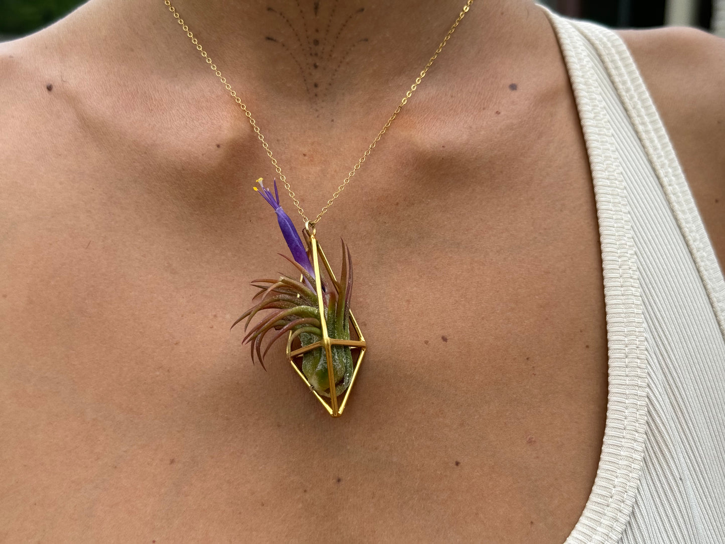 Luxury Air Plant Tetrahedron Pendant - 24K Gold / Solid Sterling Silver