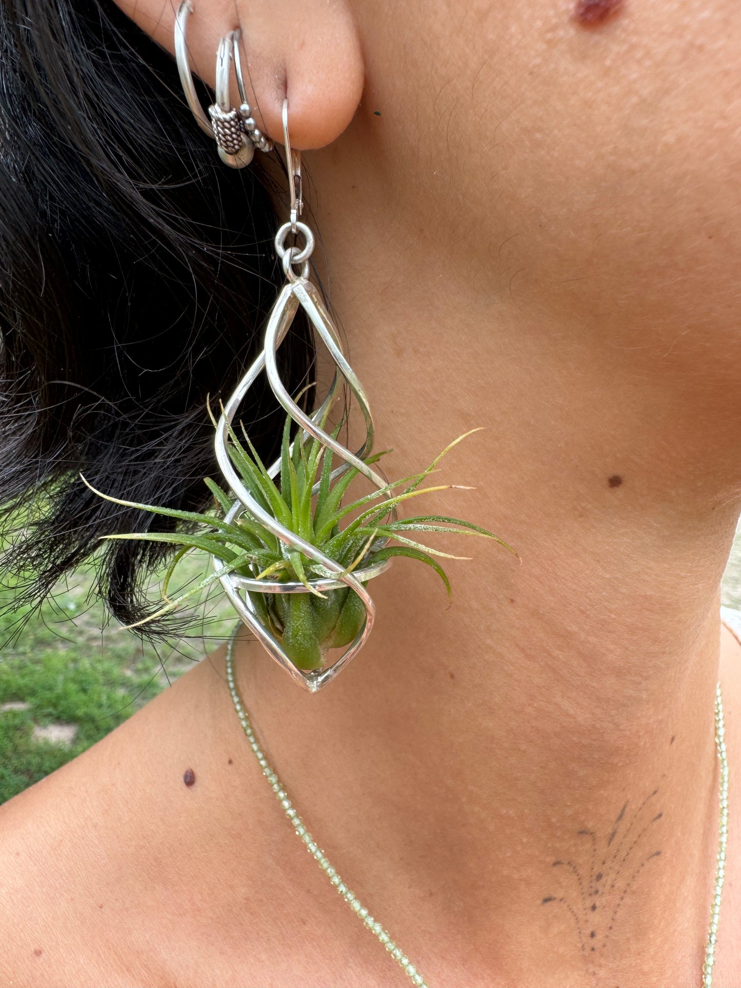 Sterling Silver Spiral Spindel Air Plant Earrings ~ Luxury Geometric Earrings