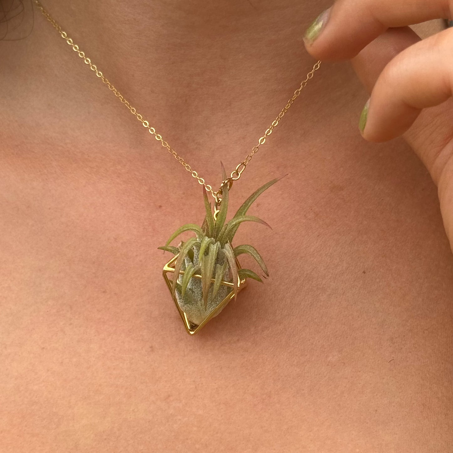 Luxury Air Plant Octahedron Pendant - 24K Gold / Solid Sterling Silver