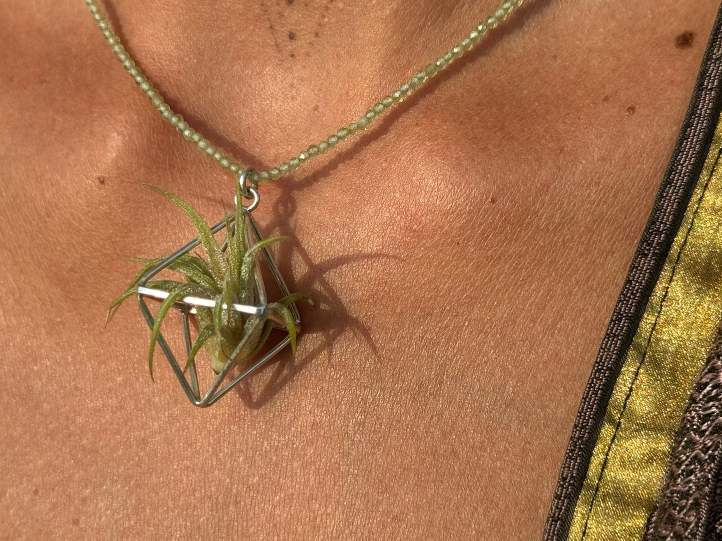 Luxury Air Plant Octahedron Pendant - 24K Gold / Solid Sterling Silver