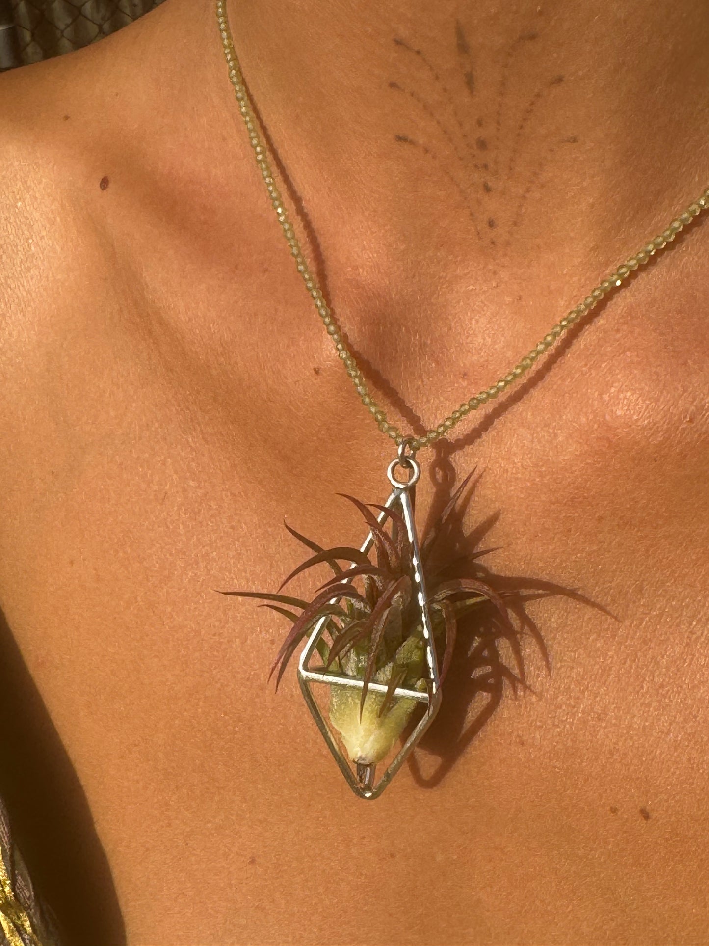 Luxury Air Plant Tetrahedron Pendant - 24K Gold / Solid Sterling Silver