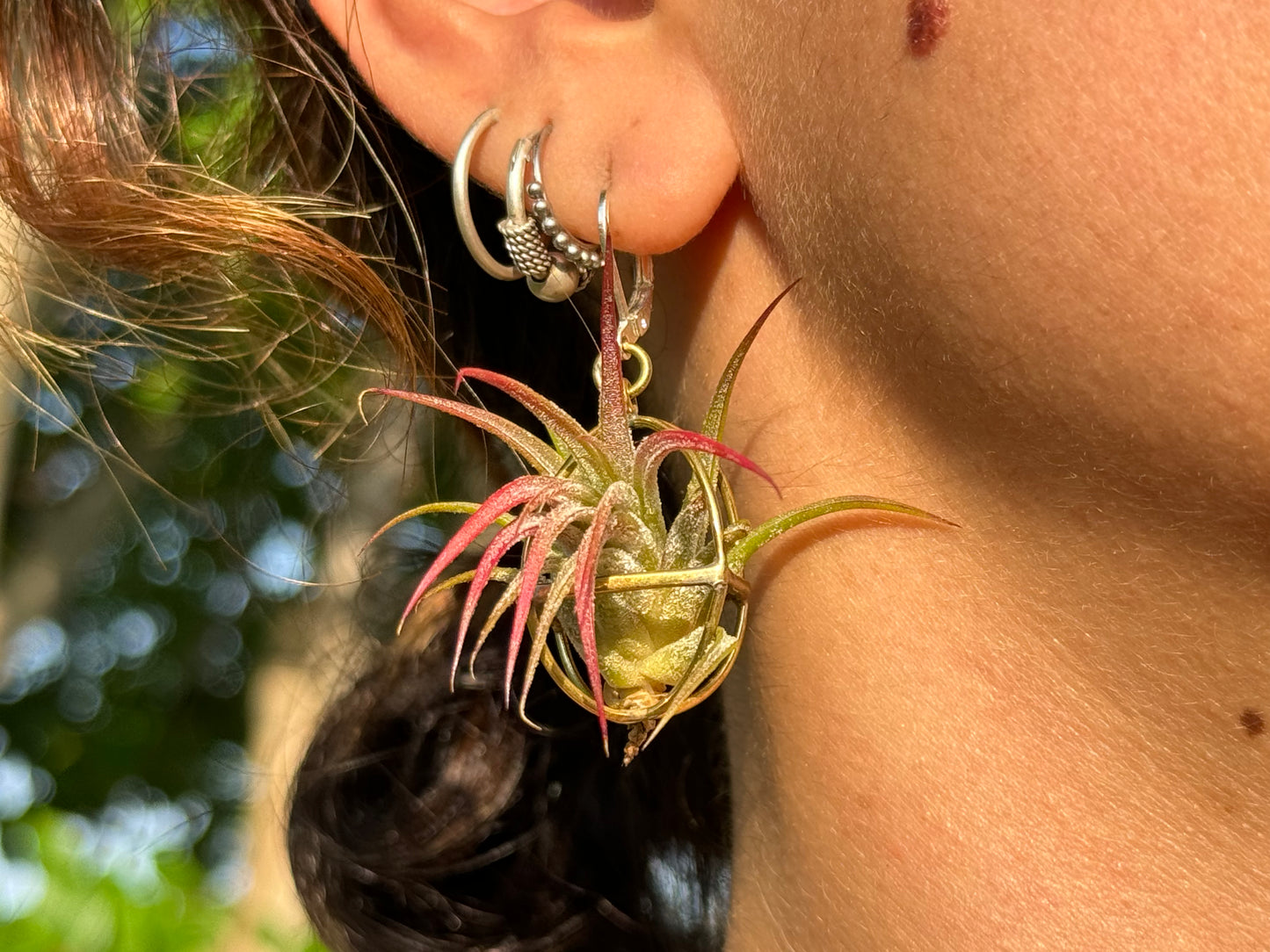 24K Gold Orb Air Plant Earrings