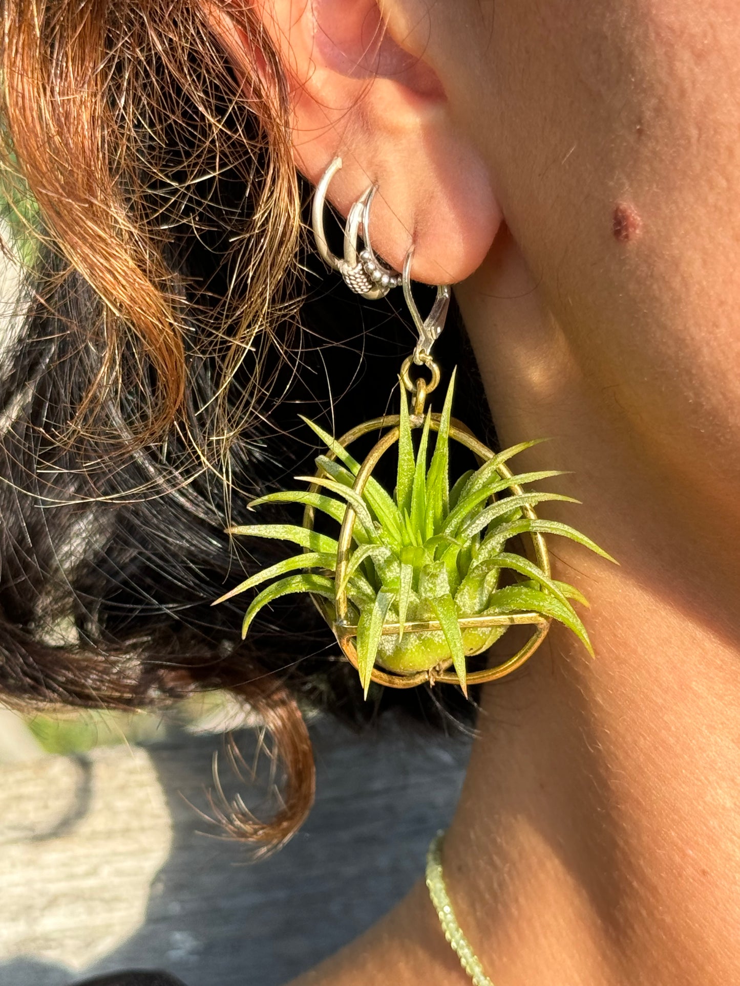 24K Gold Orb Air Plant Earrings