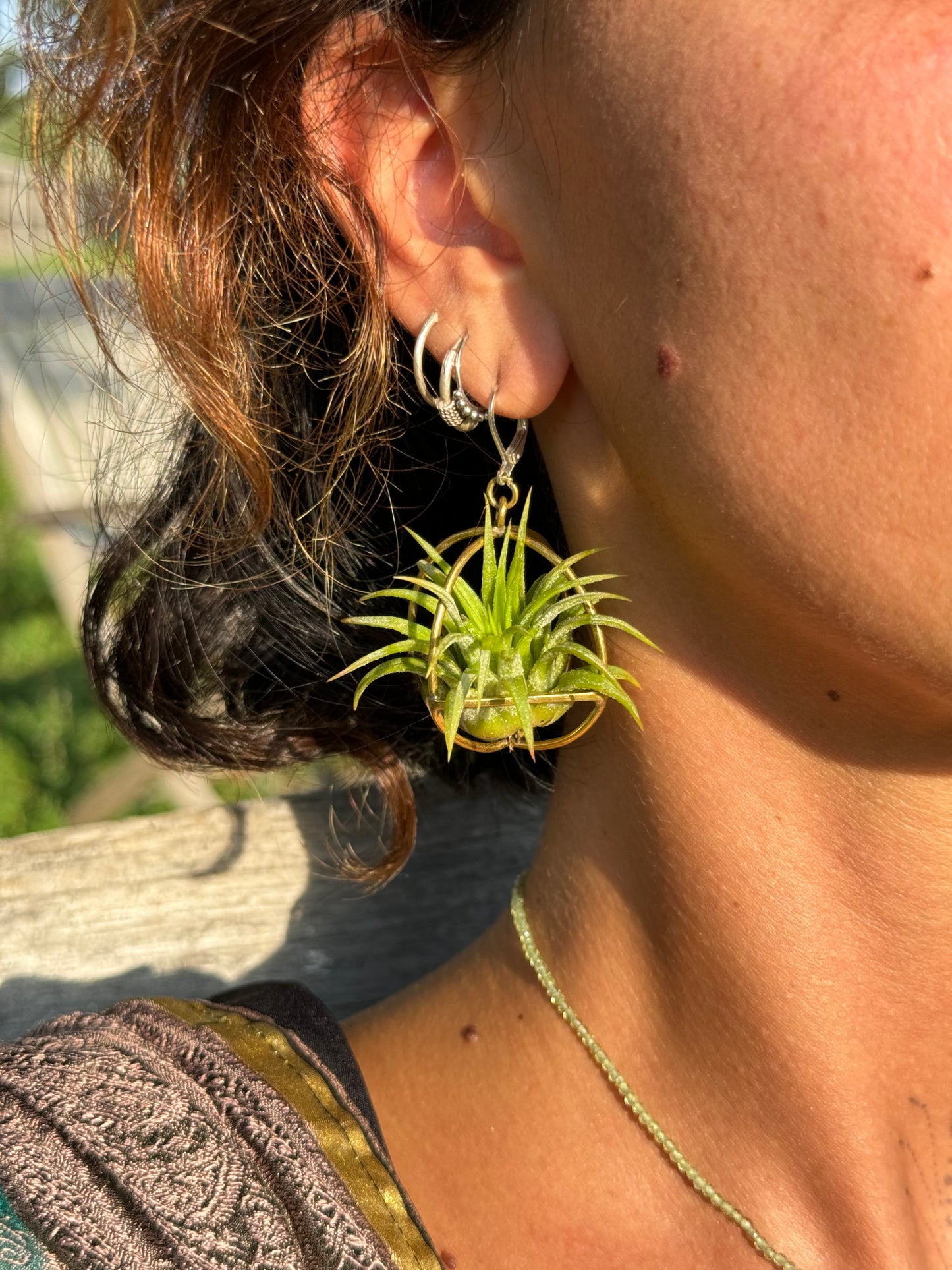 24K Gold Orb Air Plant Earrings