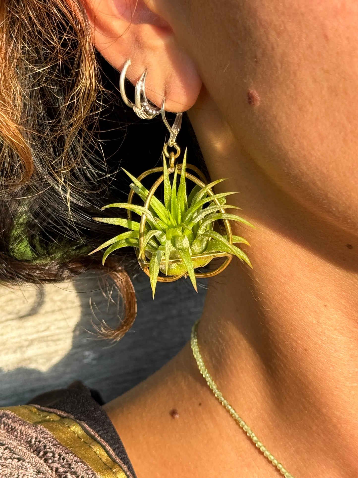 24K Gold Orb Air Plant Earrings