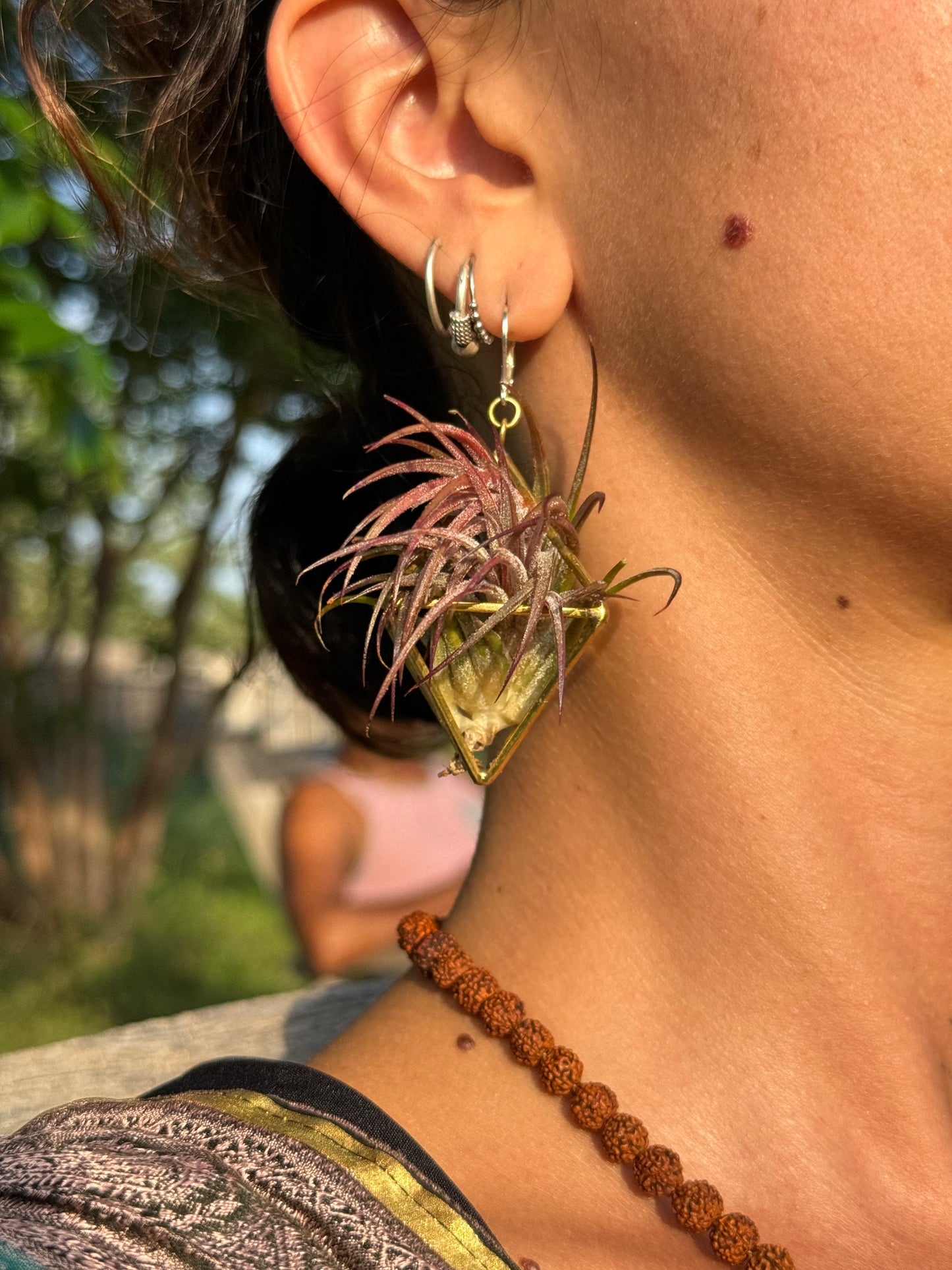 24K GOLD Mini Octahedron Classic Air Plant Clasp Earrings