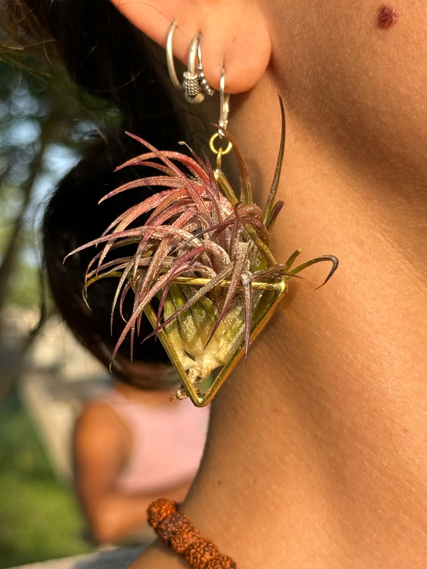 24K GOLD Mini Octahedron Classic Air Plant Clasp Earrings