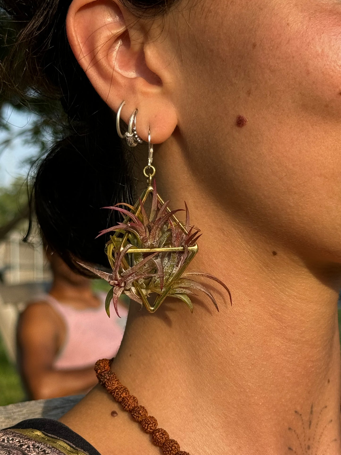24K GOLD Mini Octahedron Classic Air Plant Clasp Earrings