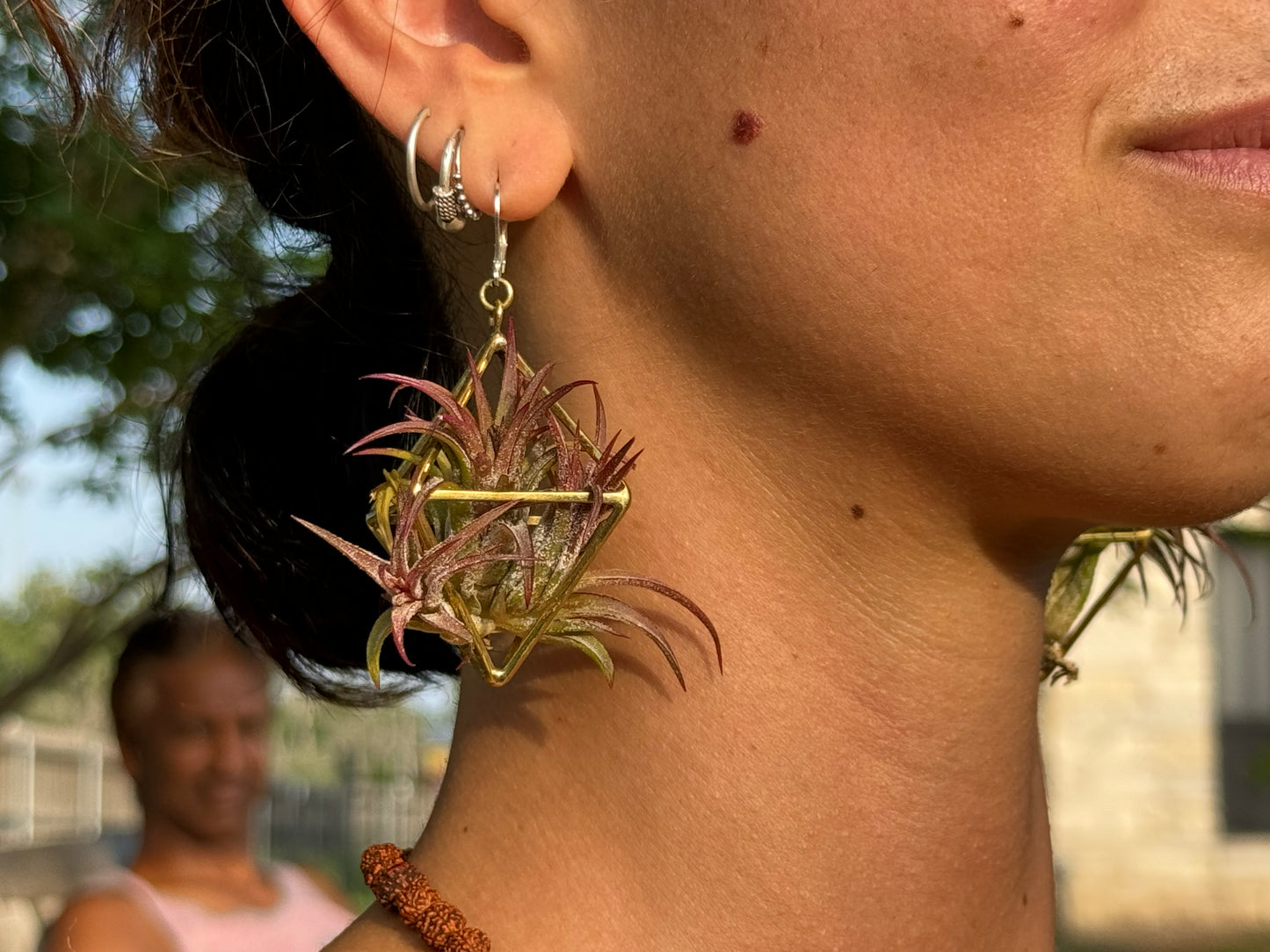 24K GOLD Mini Octahedron Classic Air Plant Clasp Earrings