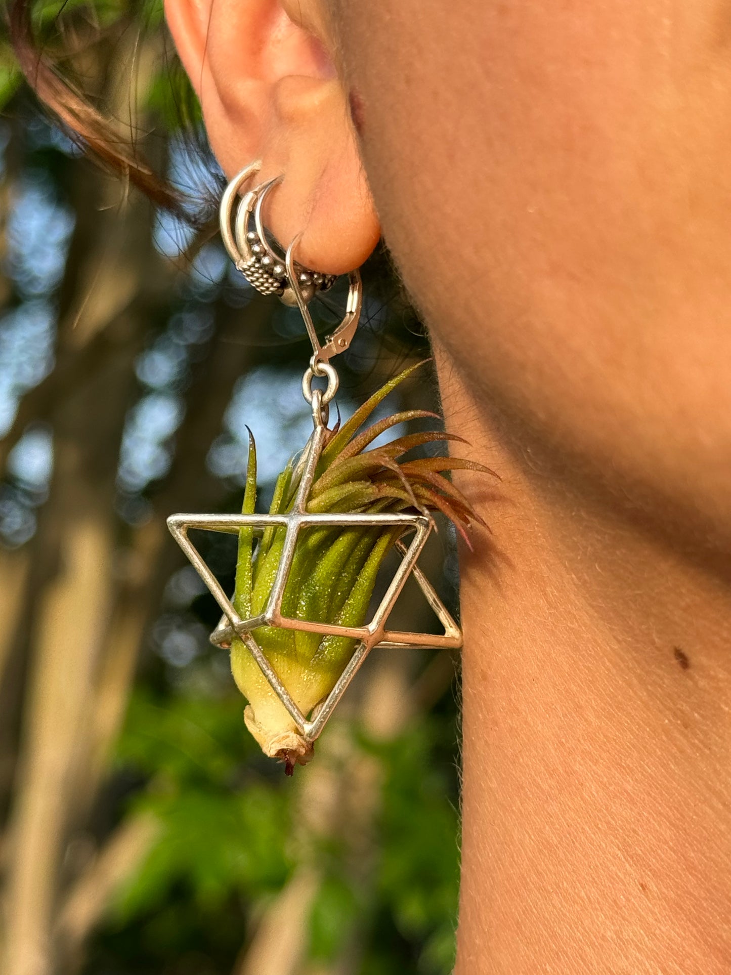 Sterling Silver Merkaba Air Plant Earrings ~ 3D Polyhedron Geometric Earrings