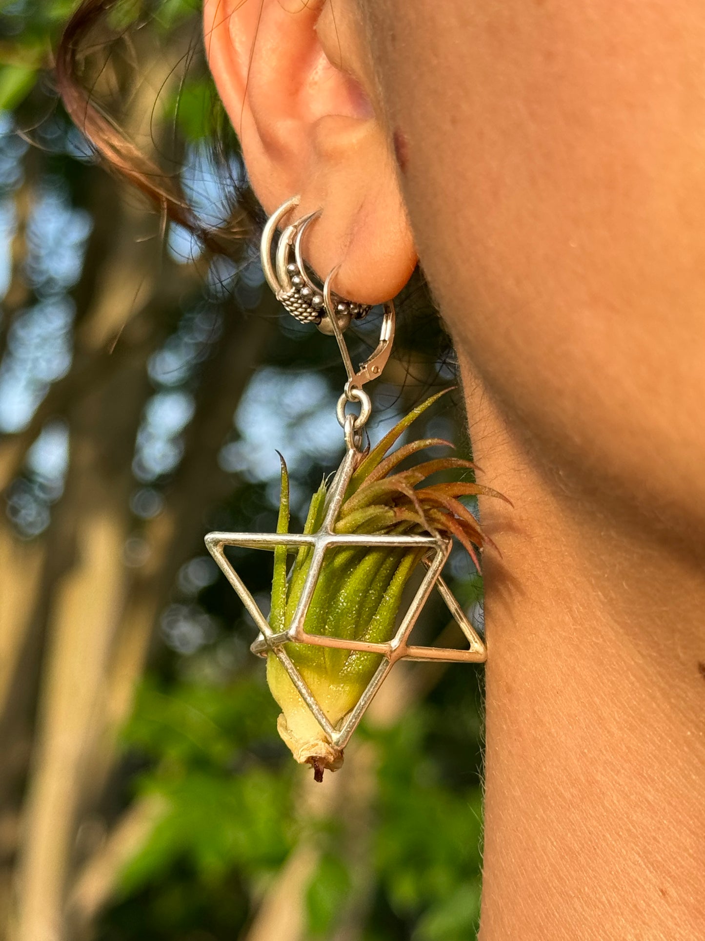 Sterling Silver Merkaba Air Plant Earrings ~ 3D Polyhedron Geometric Earrings