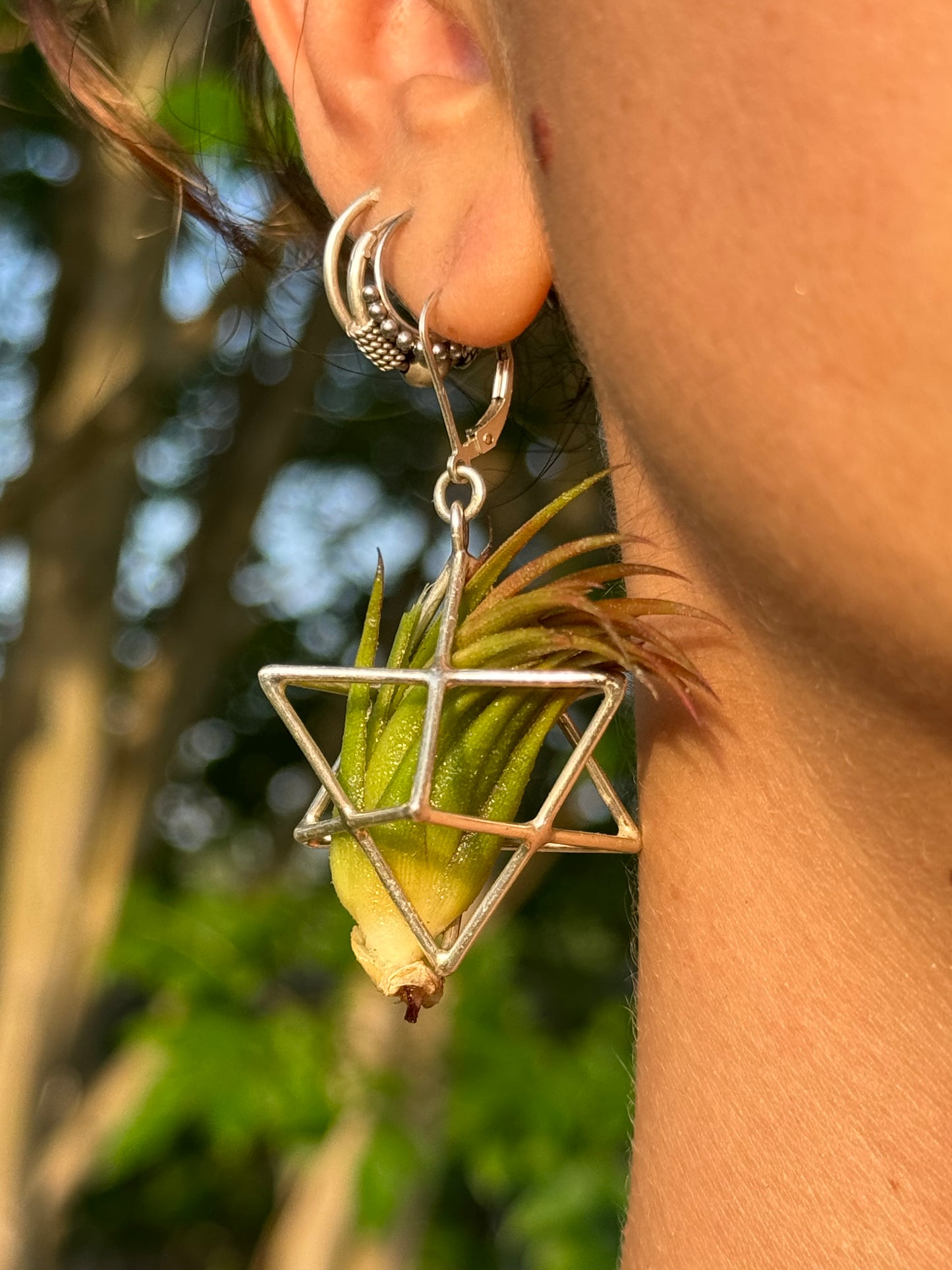 Sterling Silver Merkaba Air Plant Earrings ~ 3D Polyhedron Geometric Earrings