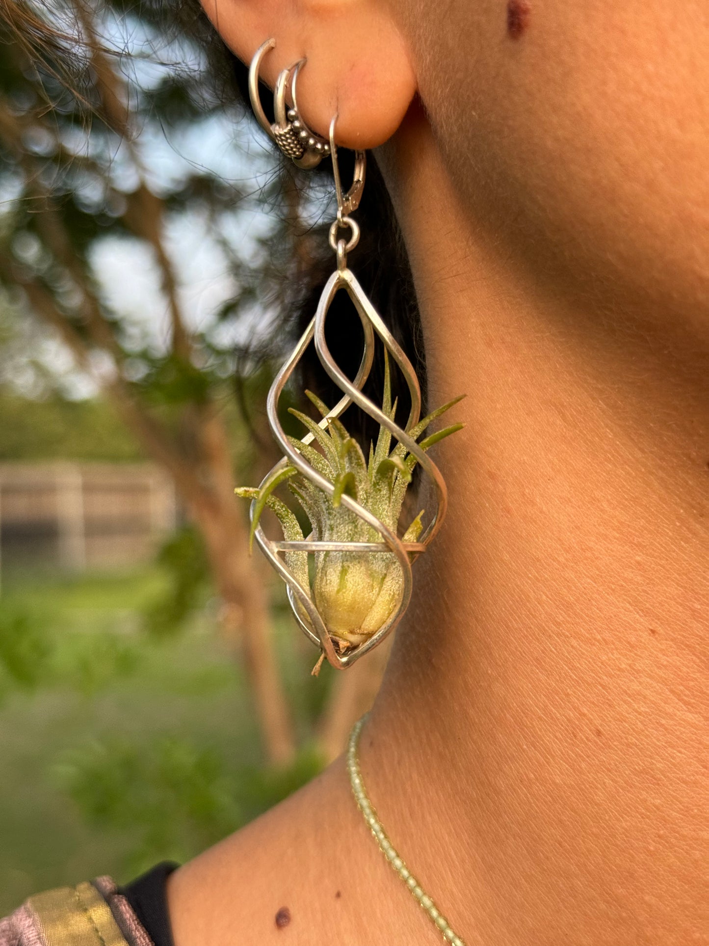 Sterling Silver Spiral Spindel Air Plant Earrings ~ Luxury Geometric Earrings
