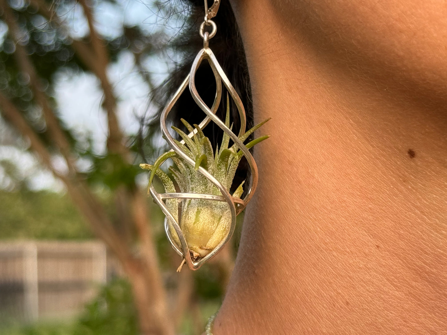 Sterling Silver Spiral Spindel Air Plant Earrings ~ Luxury Geometric Earrings