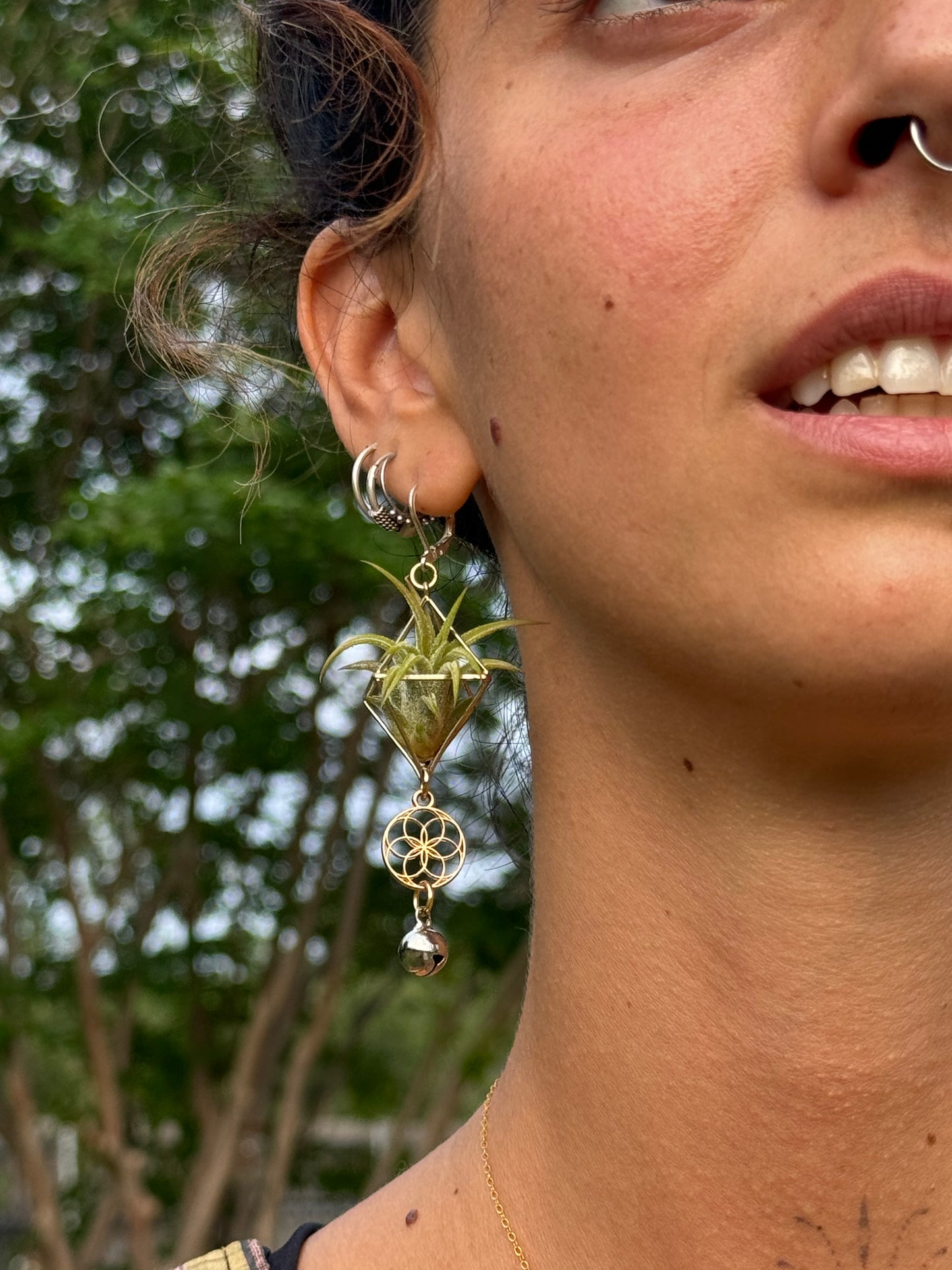 Mini Diamond Octahedron Classic Air Plant Clasp Earrings