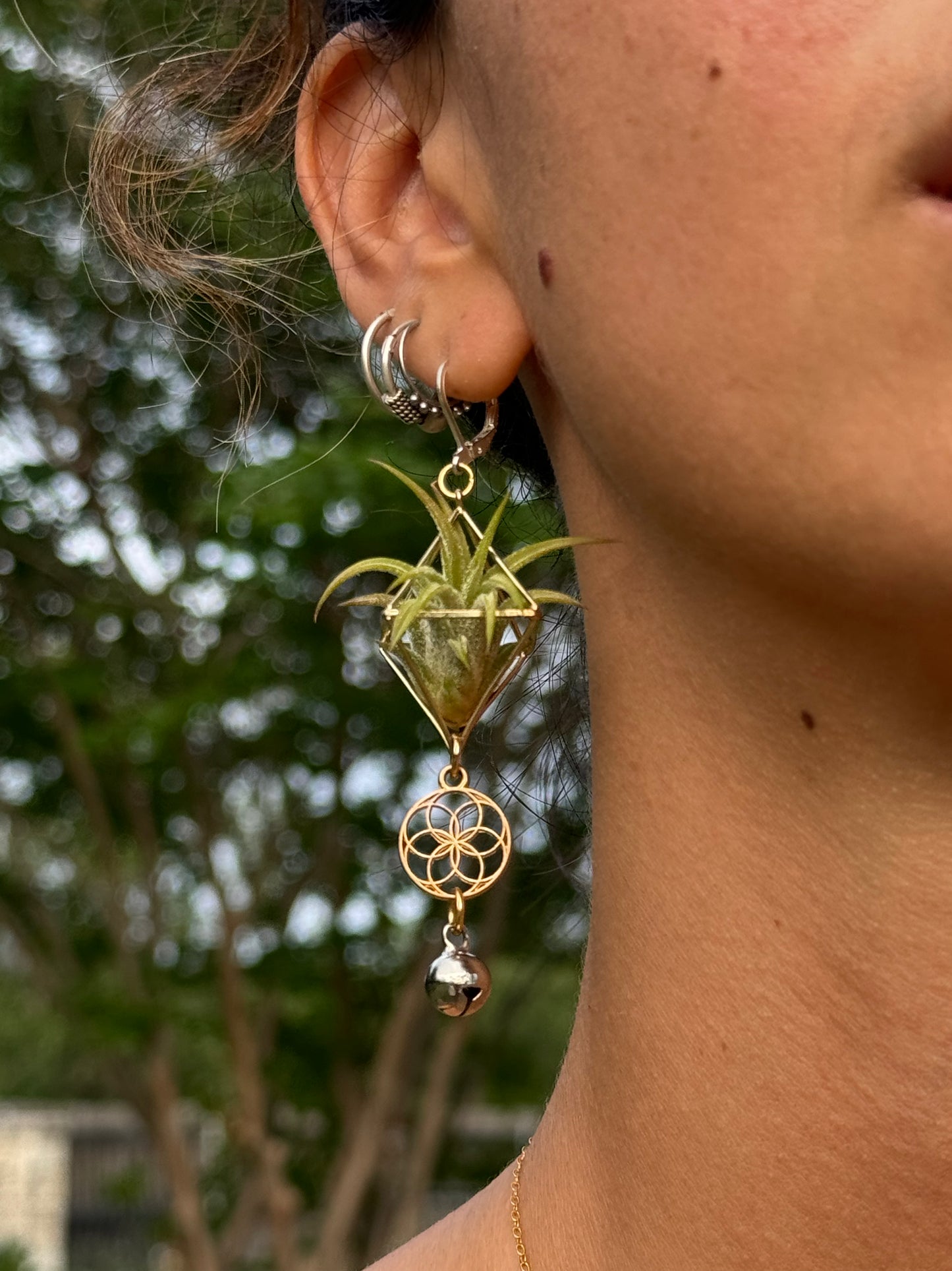 Mini Diamond Octahedron Classic Air Plant Clasp Earrings