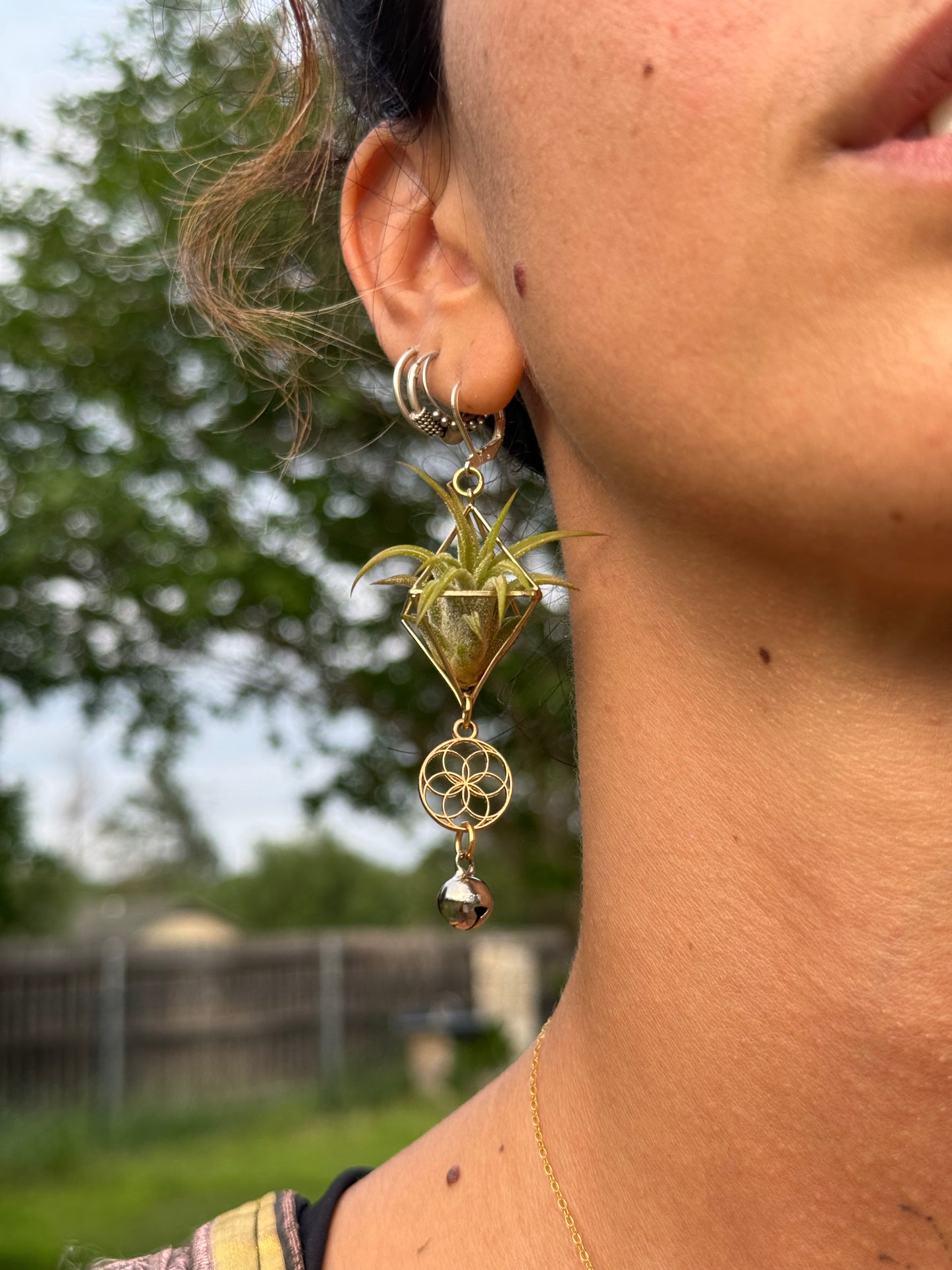 Mini Diamond Octahedron Classic Air Plant Clasp Earrings