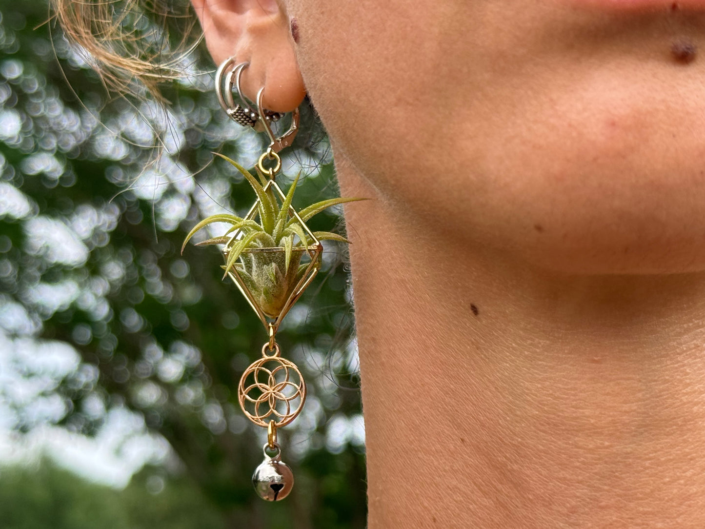 Mini Diamond Octahedron Classic Air Plant Clasp Earrings