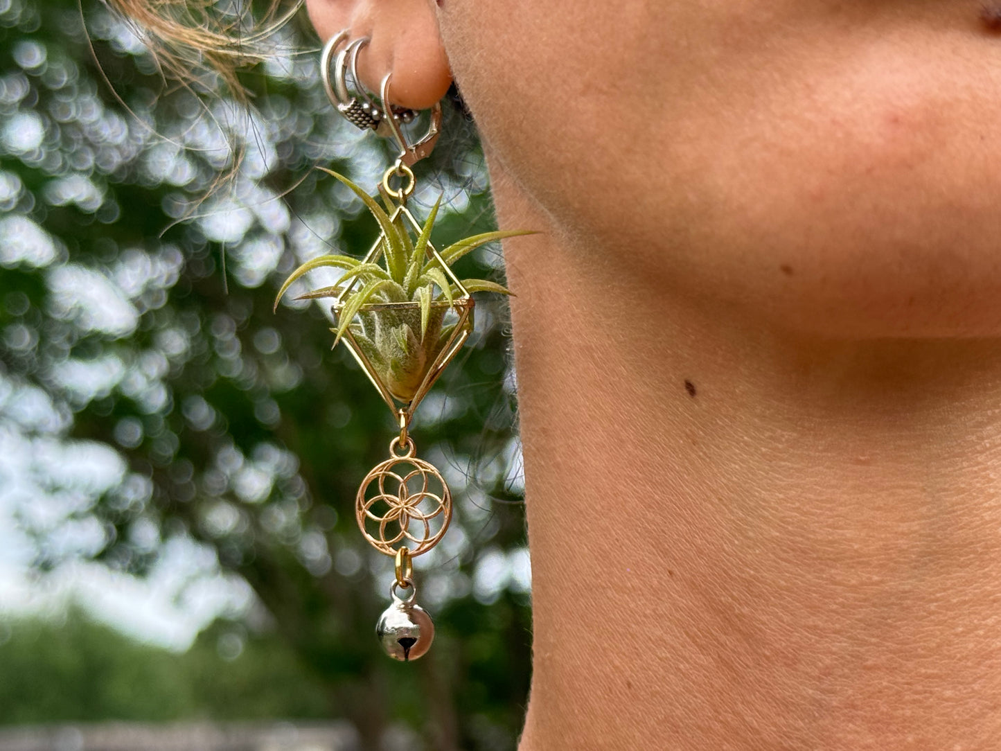 Mini Diamond Octahedron Classic Air Plant Clasp Earrings