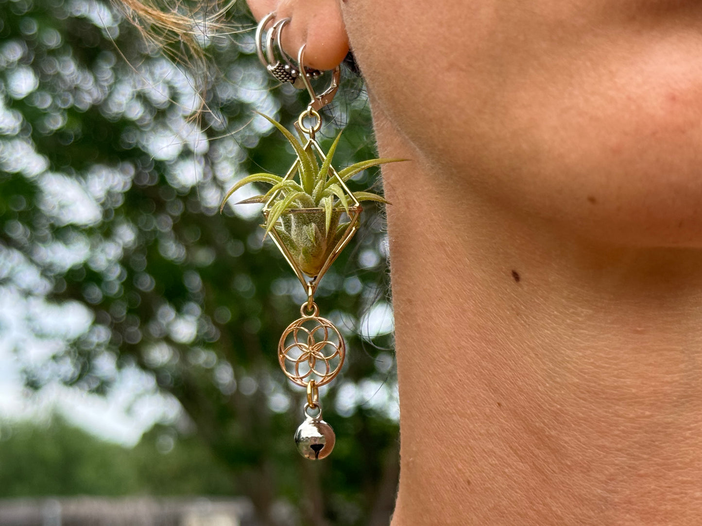 Mini Diamond Octahedron Classic Air Plant Clasp Earrings