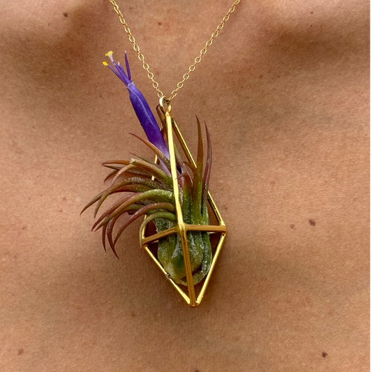 Luxury Air Plant Tetrahedron Pendant - 24K Gold / Solid Sterling Silver