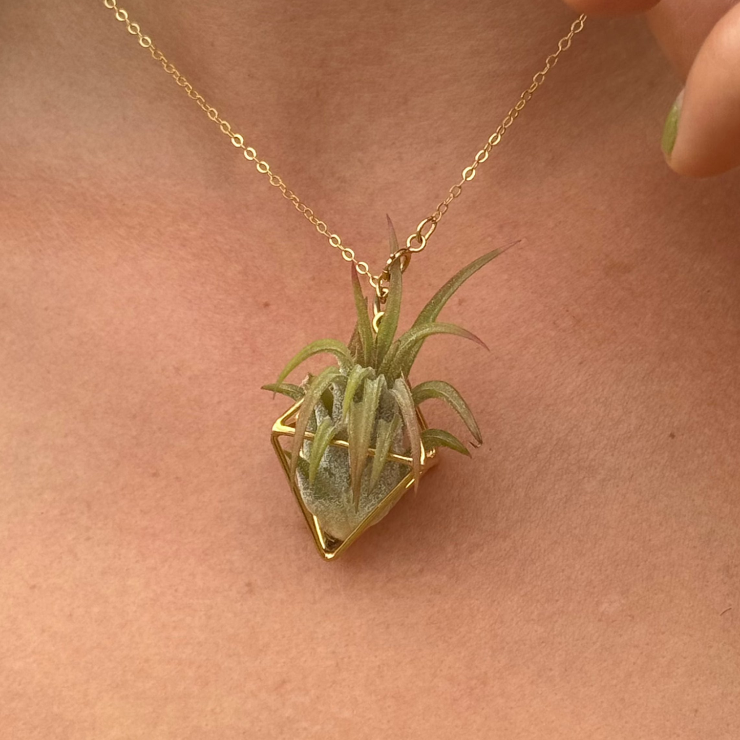 Luxury Air Plant Octahedron Pendant - 24K Gold / Solid Sterling Silver