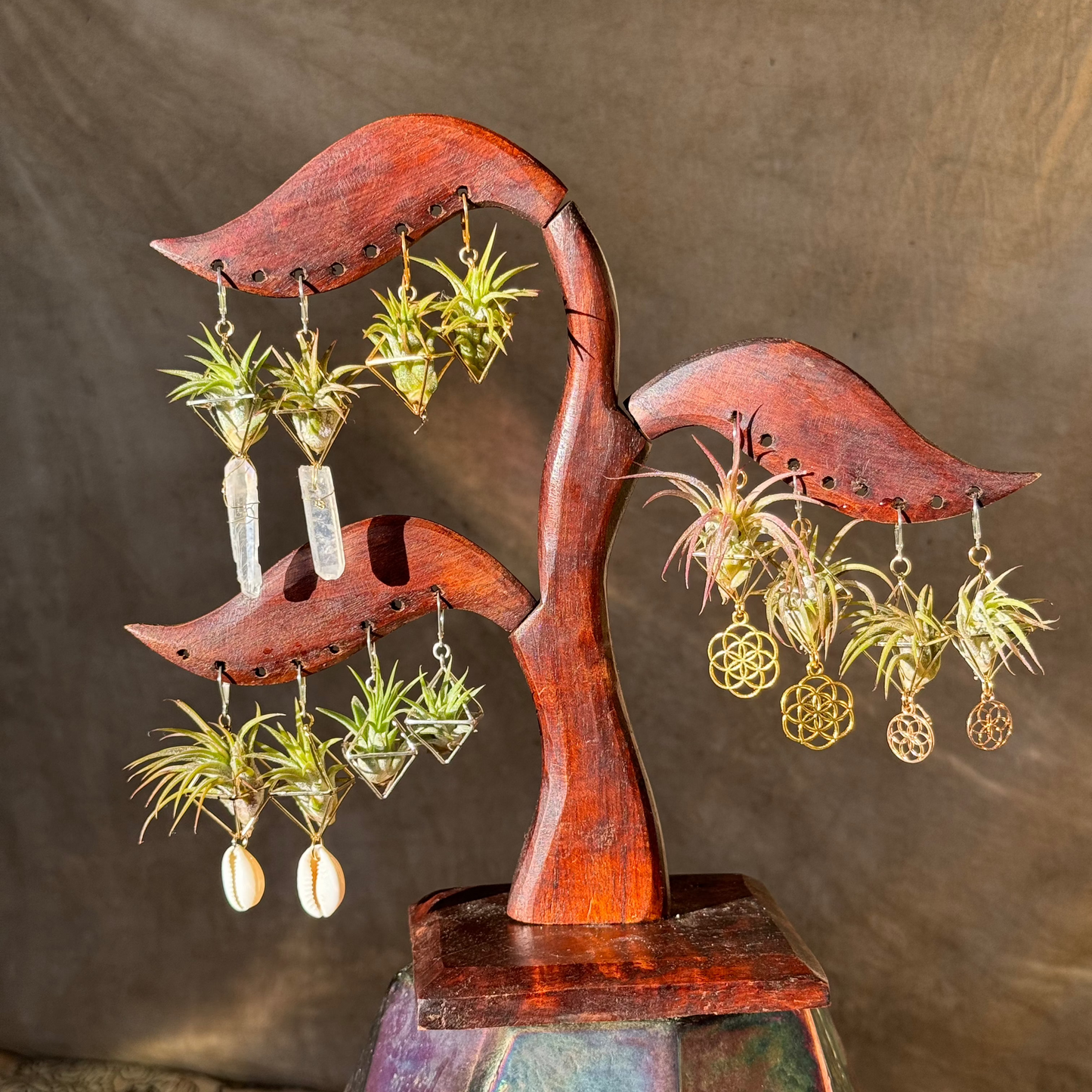 10 -15 PAIRS BEST SELLERS WHOLESALE PACKAGE x 50% DISCOUNT