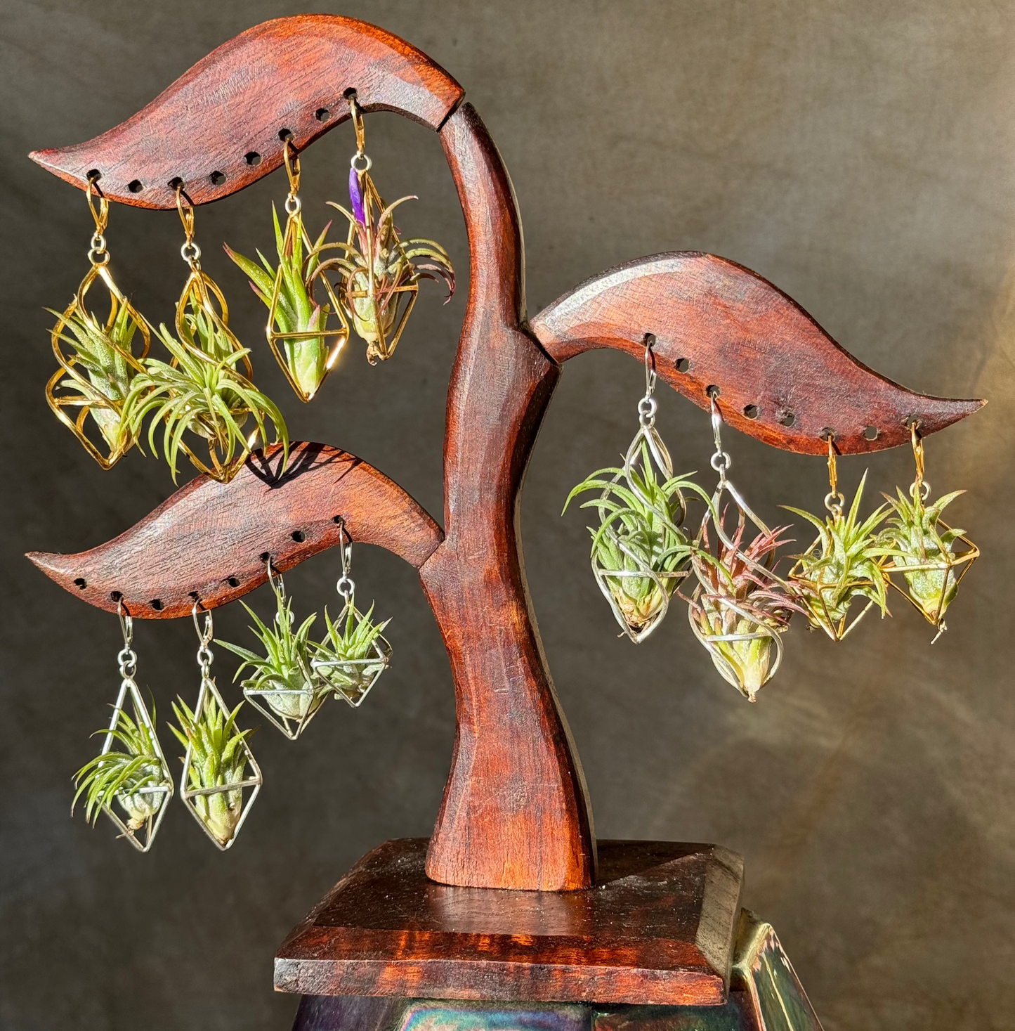 REORDER WHOLESALE PACK: 10 PAIRS - LUXURY 24K GOLD + STERLING SILVER AIR PLANT EARRINGS WHOLESALE PACKAGE x 50% DISCOUNT