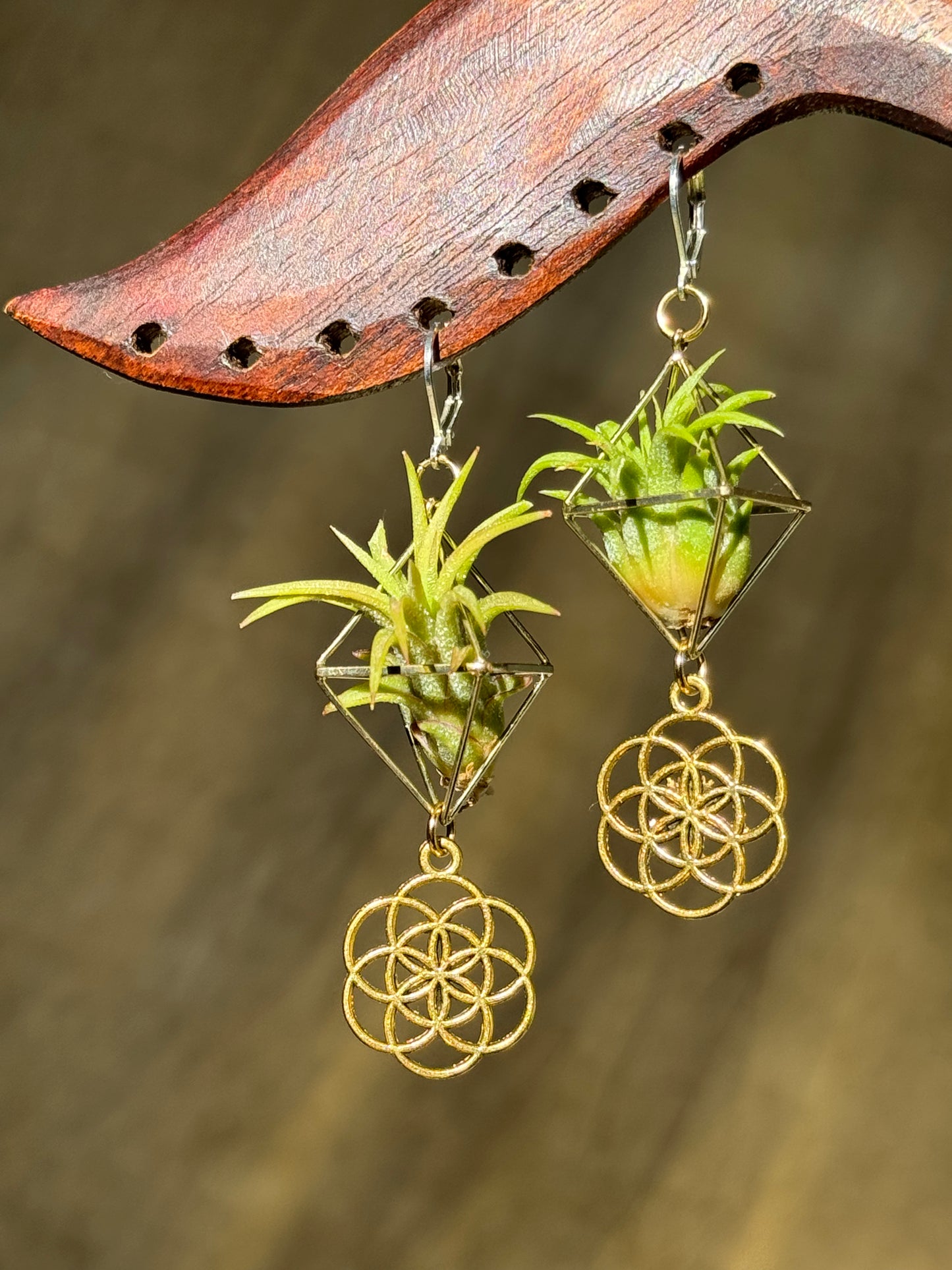 10 -15 PAIRS BEST SELLERS WHOLESALE PACKAGE x 50% DISCOUNT