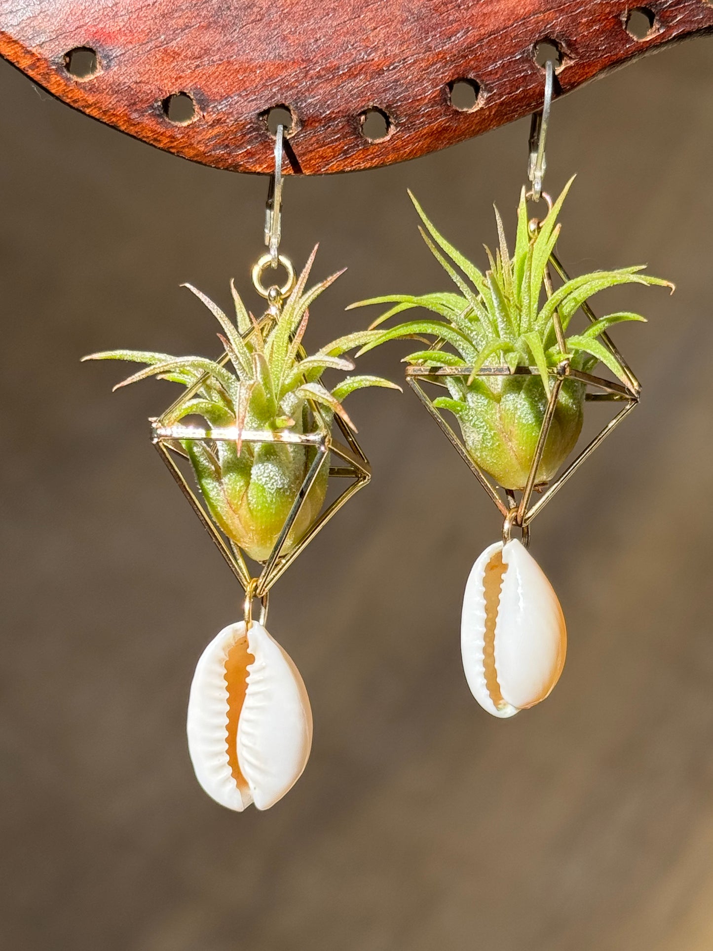 10 -15 PAIRS BEST SELLERS WHOLESALE PACKAGE x 50% DISCOUNT