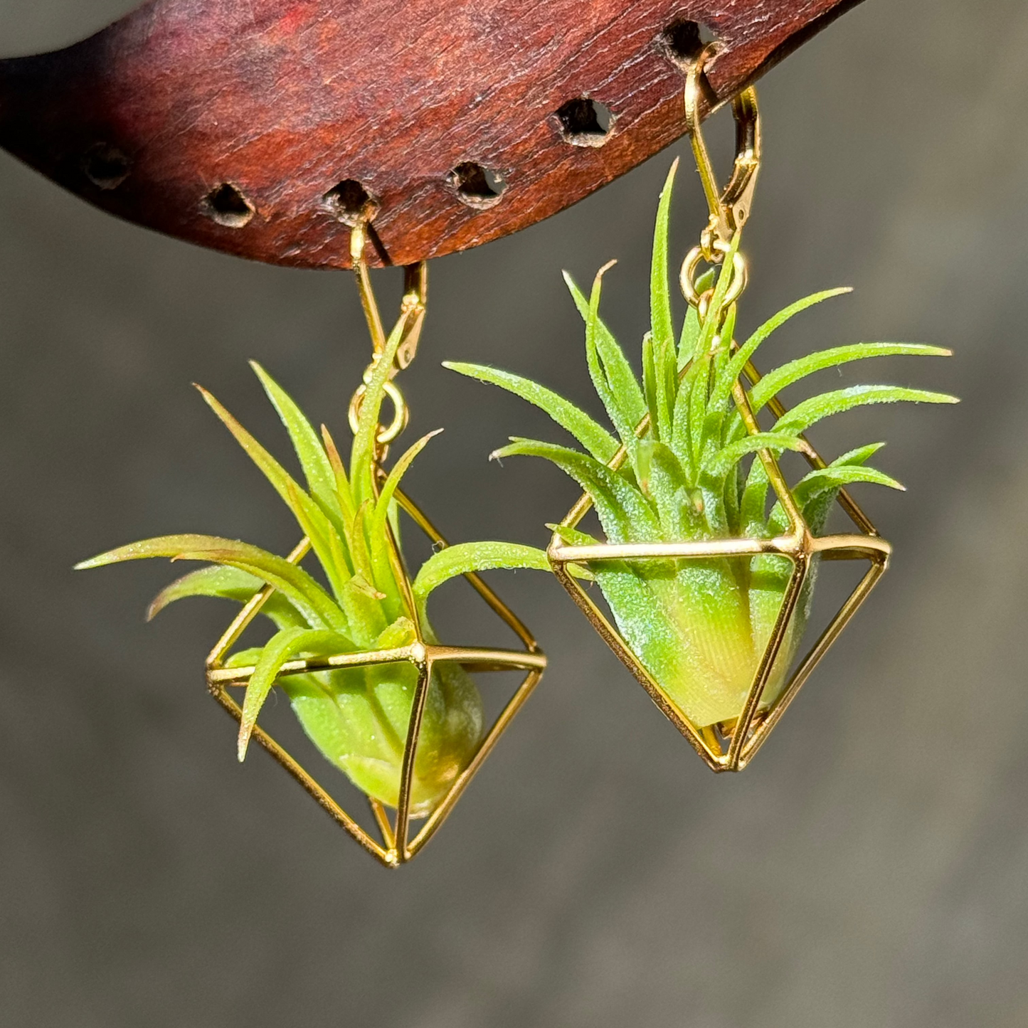 10 -15 PAIRS BEST SELLERS WHOLESALE PACKAGE x 50% DISCOUNT