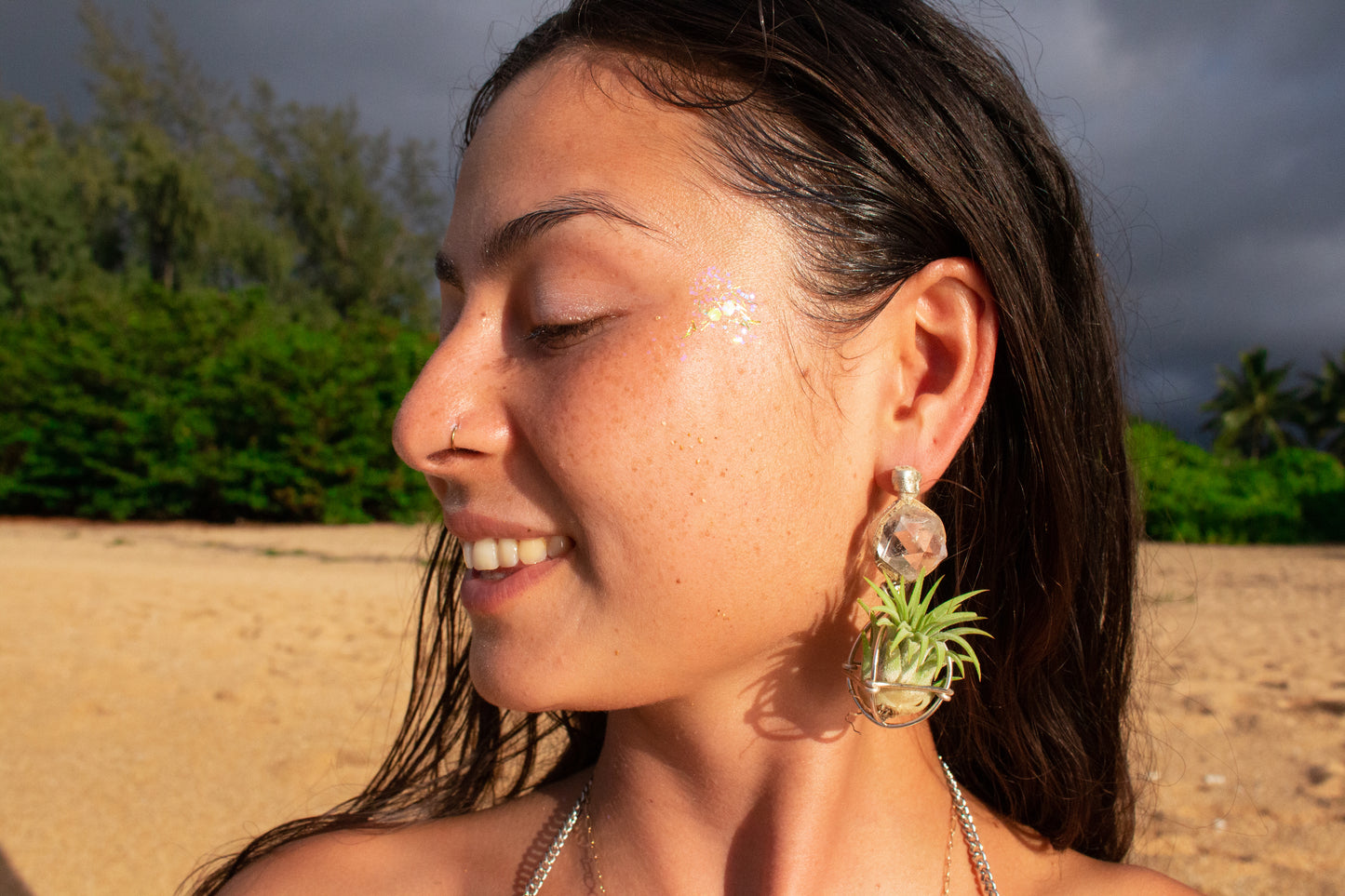 Geometric Crystal Ball Air Plant Stud Earrings - Metaphysical Platonic Solids