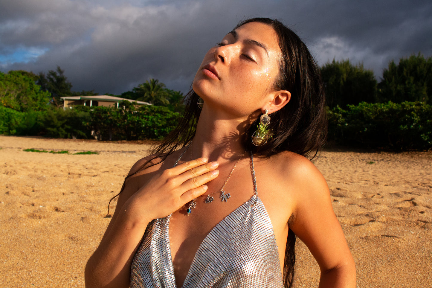 Geometric Crystal Ball Air Plant Stud Earrings - Metaphysical Platonic Solids