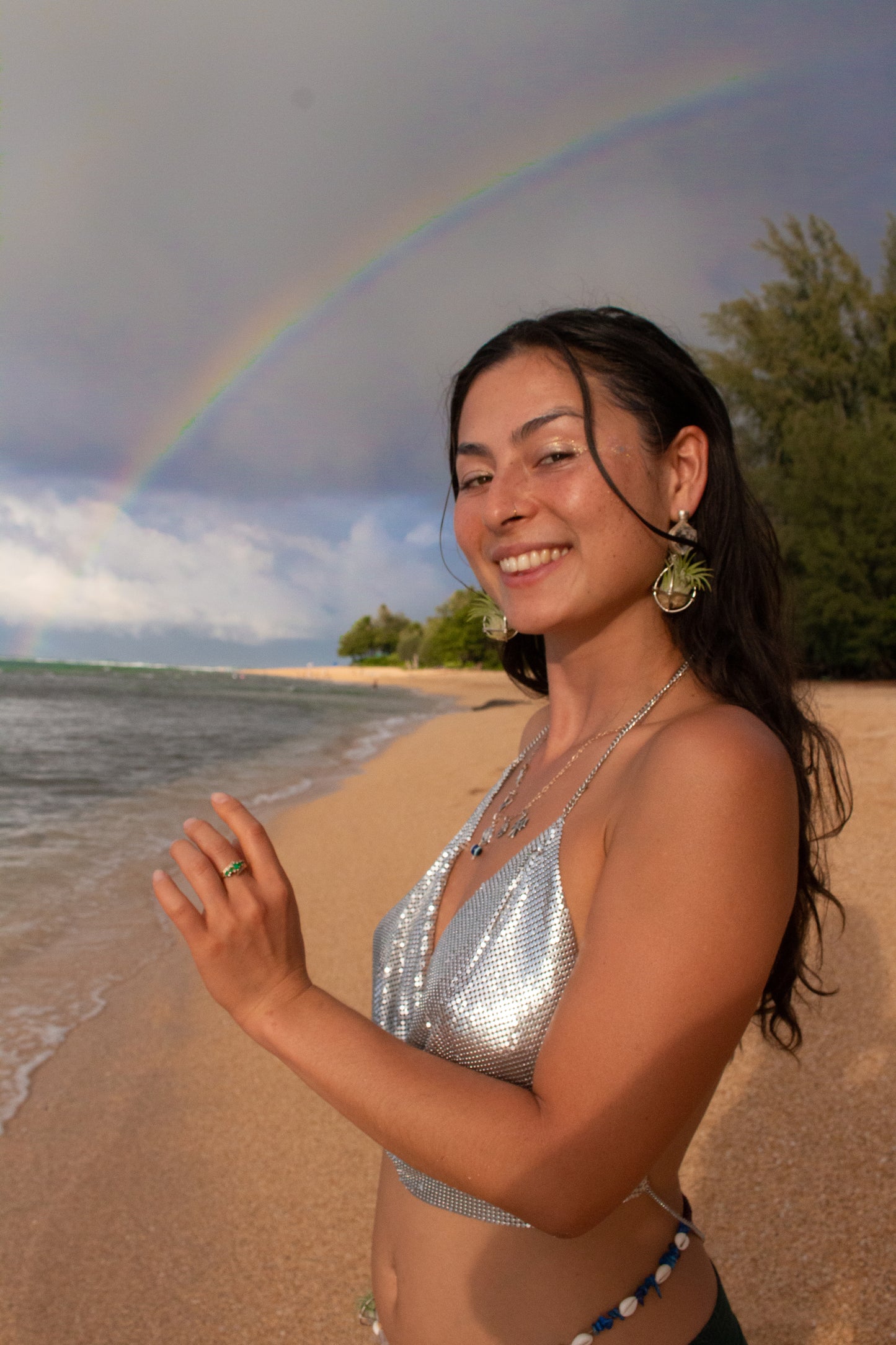 Geometric Crystal Ball Air Plant Stud Earrings - Metaphysical Platonic Solids