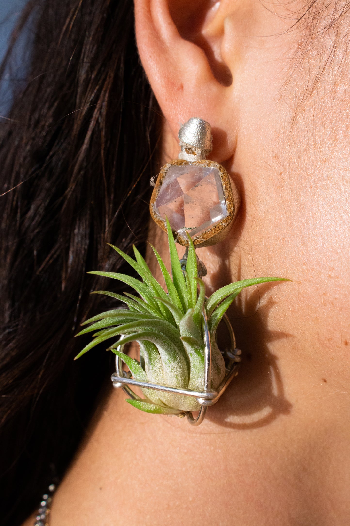 Geometric Crystal Ball Air Plant Stud Earrings - Metaphysical Platonic Solids