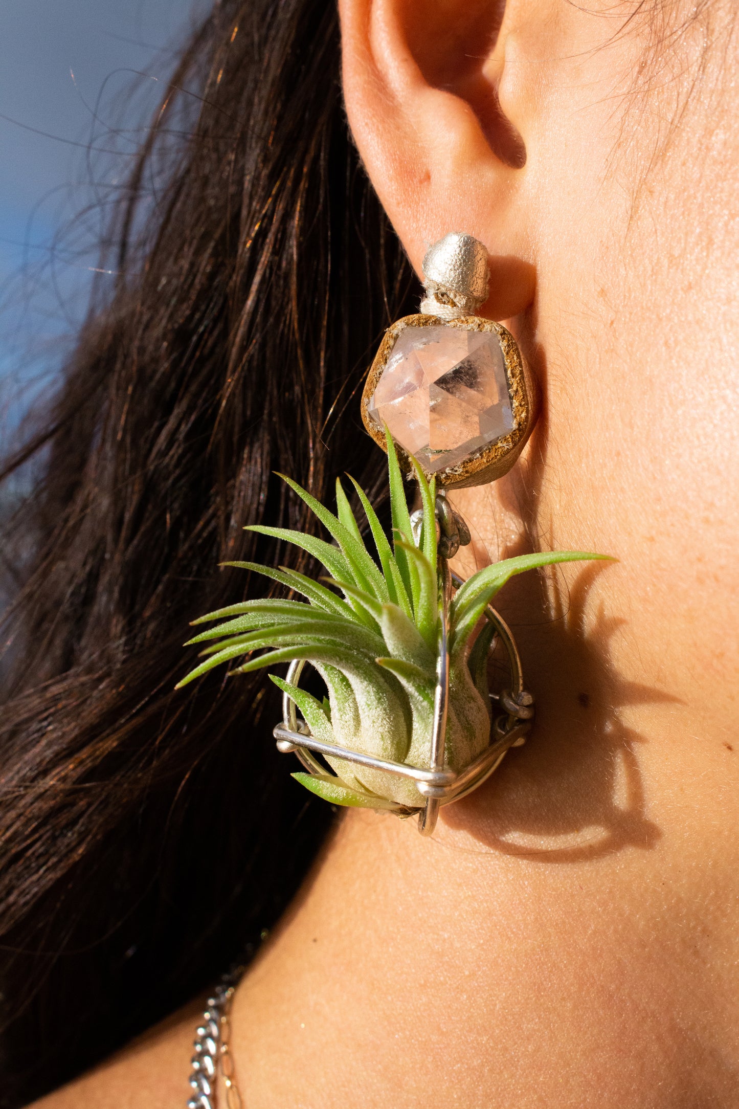 Geometric Crystal Ball Air Plant Stud Earrings - Metaphysical Platonic Solids