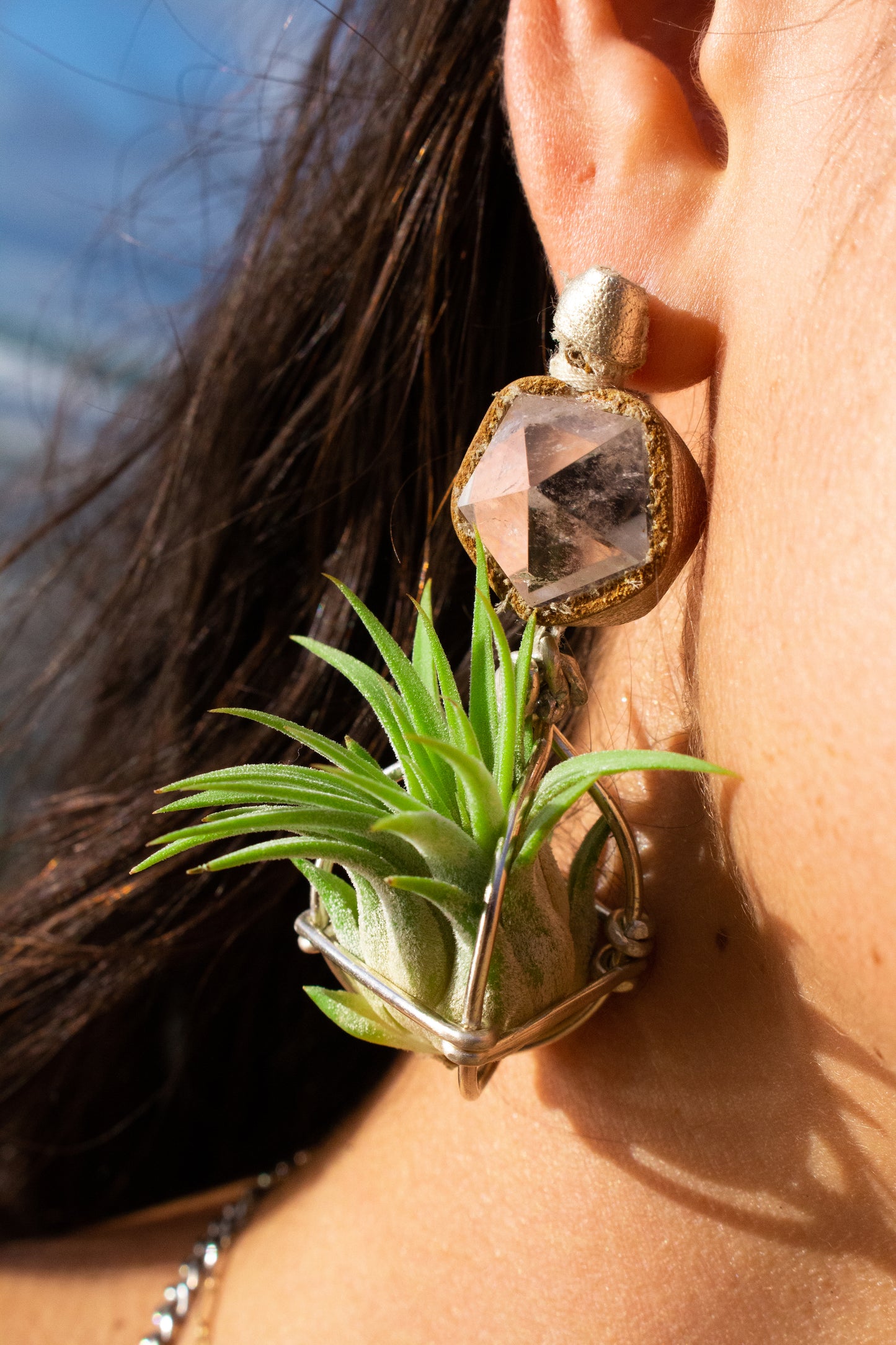 Geometric Crystal Ball Air Plant Stud Earrings - Metaphysical Platonic Solids