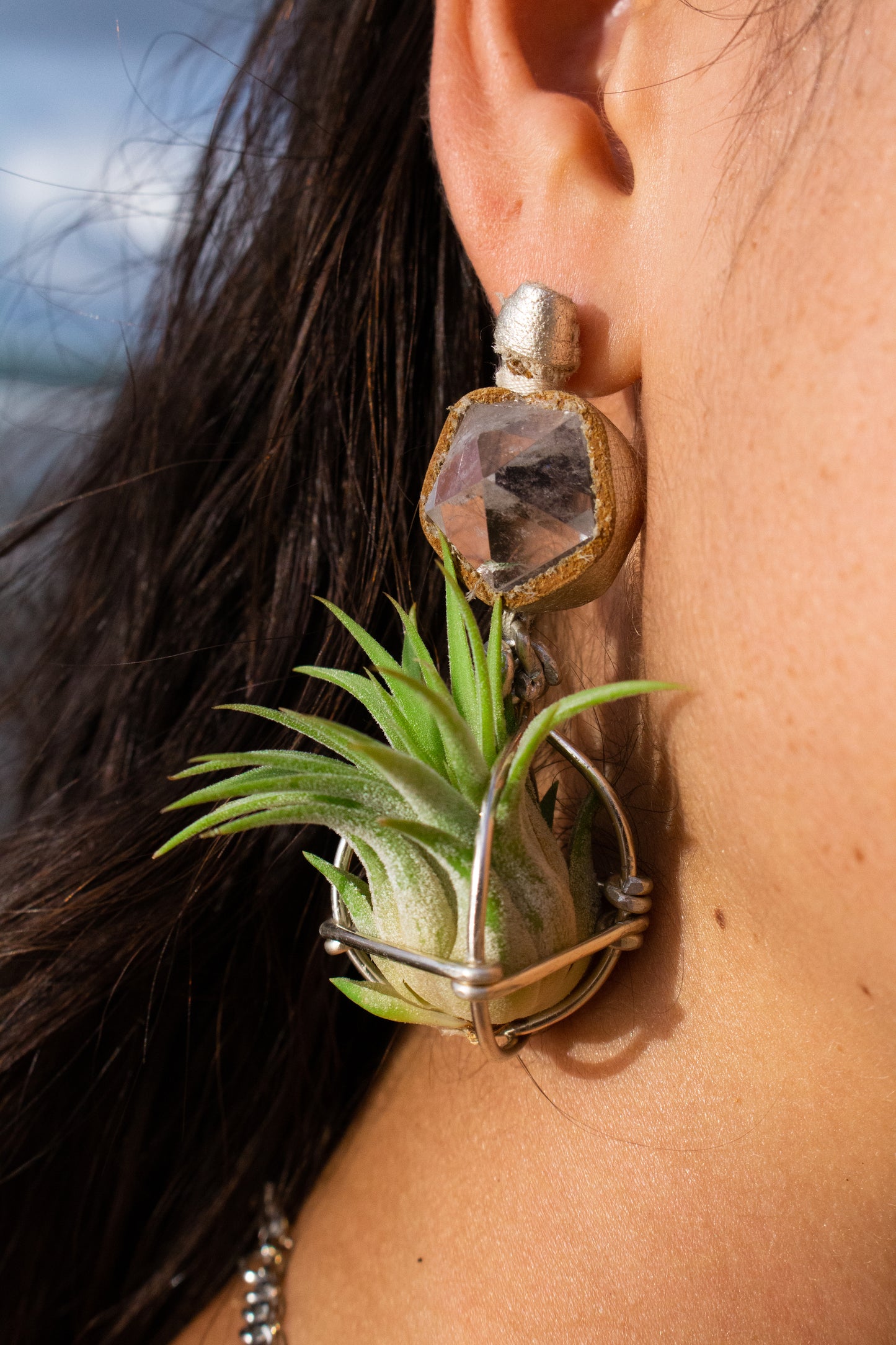 Geometric Crystal Ball Air Plant Stud Earrings - Metaphysical Platonic Solids