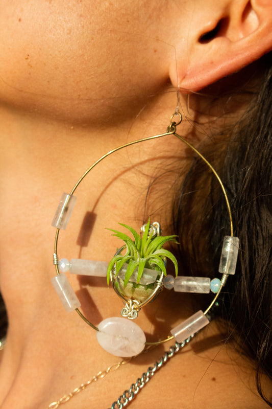 Crystal Jewel Beaded Air Plant Hoop Earrings