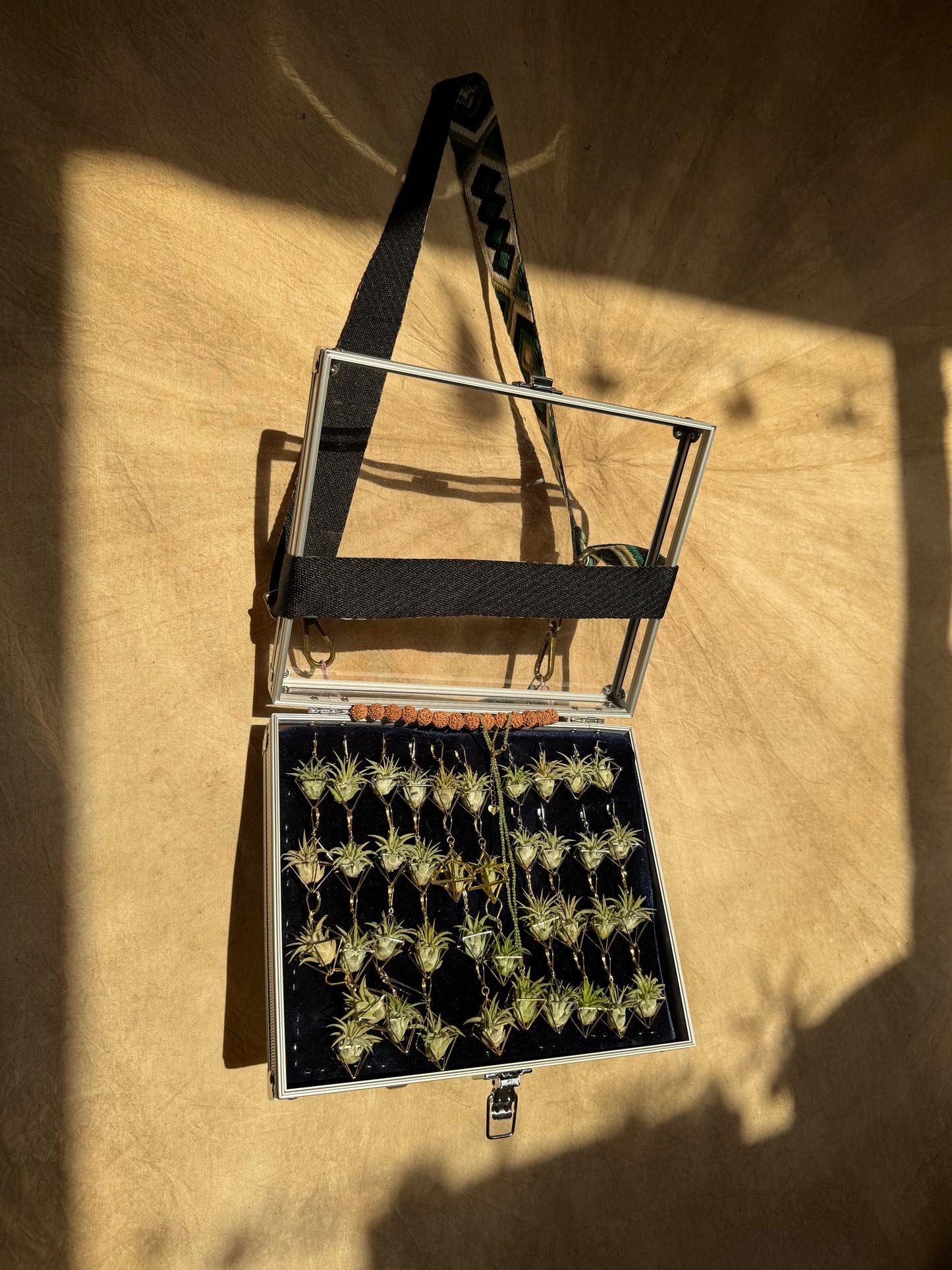 10 PACK AIR-preneur Display Box of Air Plant Earrings & Necklaces