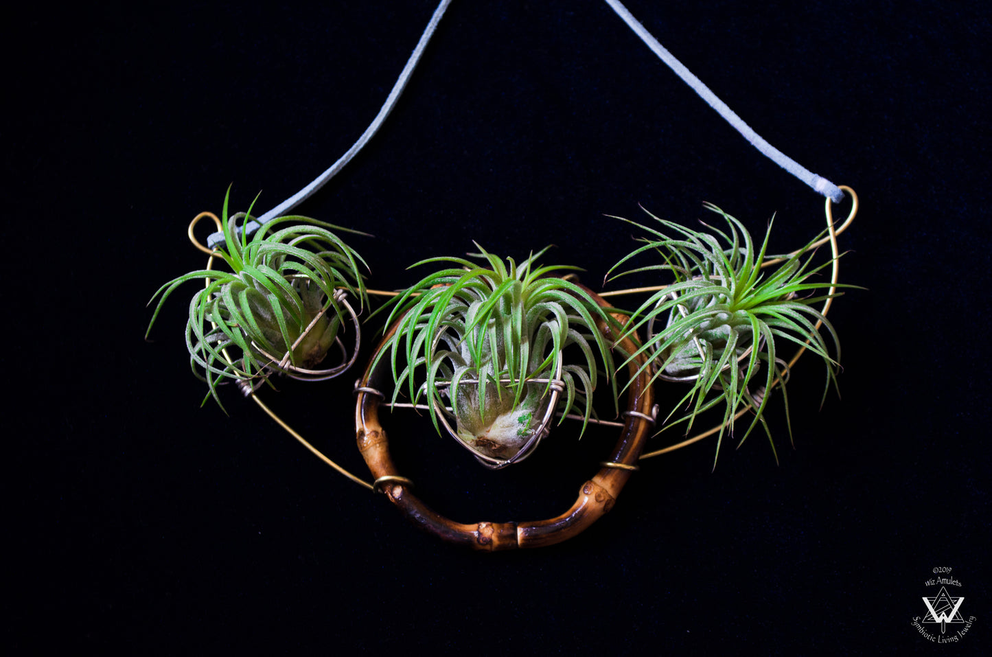 Air Plant Goddess Statement Collar Necklace ~ Warrior Bamboo Necklace