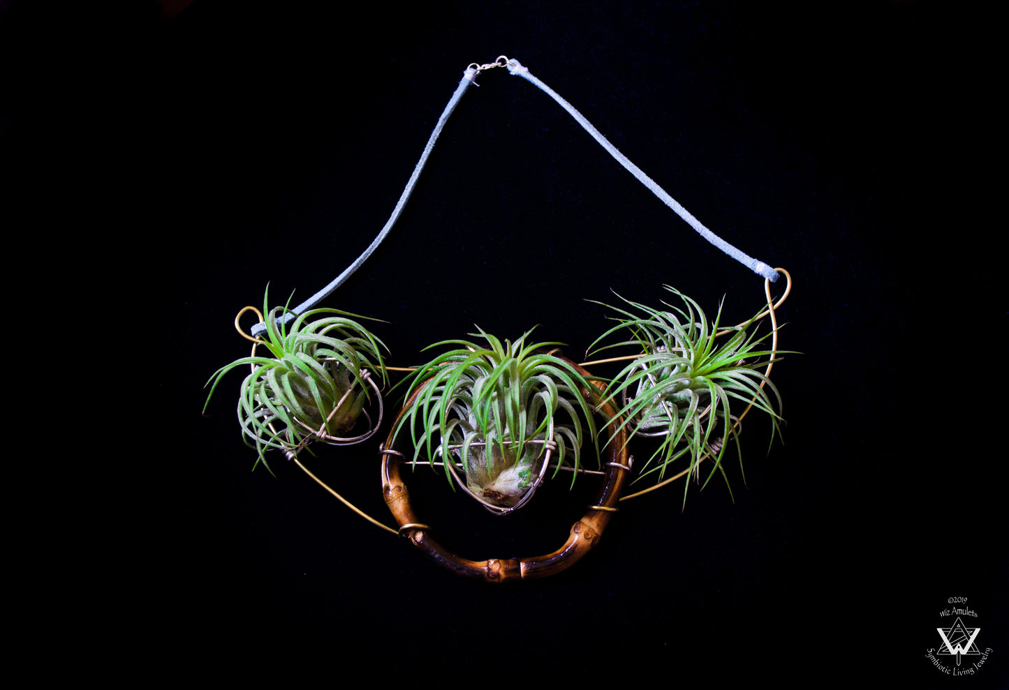 Air Plant Goddess Statement Collar Necklace ~ Warrior Bamboo Necklace