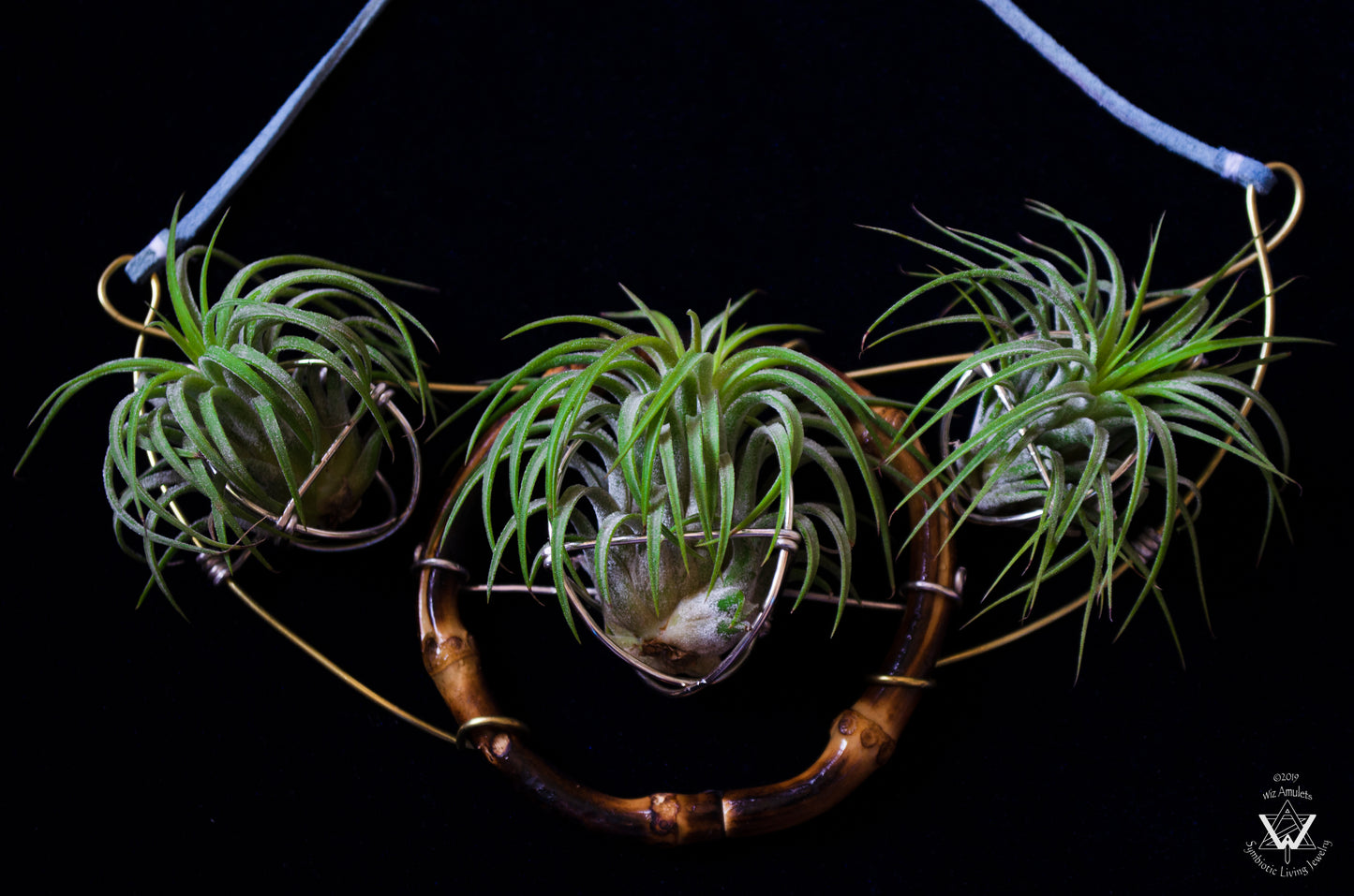 Air Plant Goddess Statement Collar Necklace ~ Warrior Bamboo Necklace