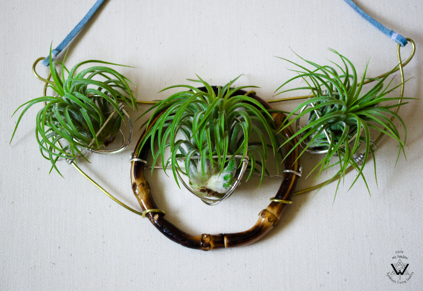 Air Plant Goddess Statement Collar Necklace ~ Warrior Bamboo Necklace